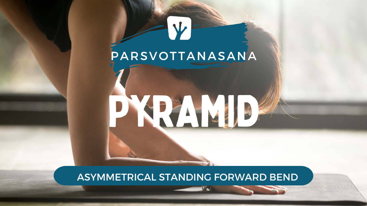 Ardha Parsvottanasana / Half Pyramid Pose – Yoga365Days