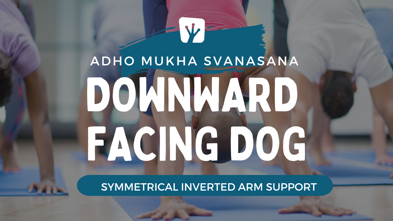 Downward Facing Dog Pose (Adho Mukha Svanasana) Dimensions & Drawings |  Dimensions.com