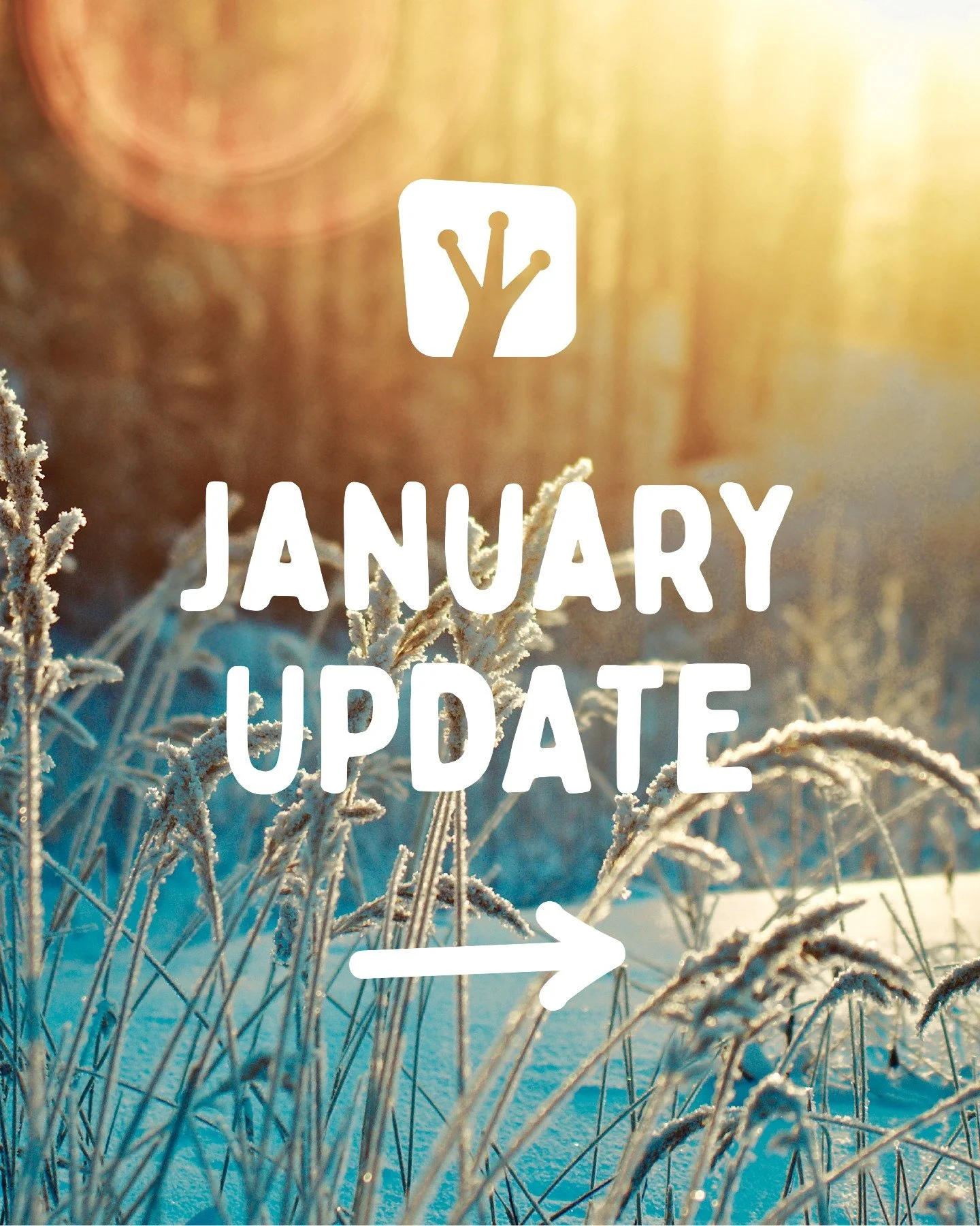 Take a look at what's coming up at Upward Frog in January ❄️
⁠
Book online: https://upwardfrogyoga.punchpass.com/classes⁠
⁠

#whatsonstockport #beginnersyoga #gongbath #yinyoga #community #yogastockport