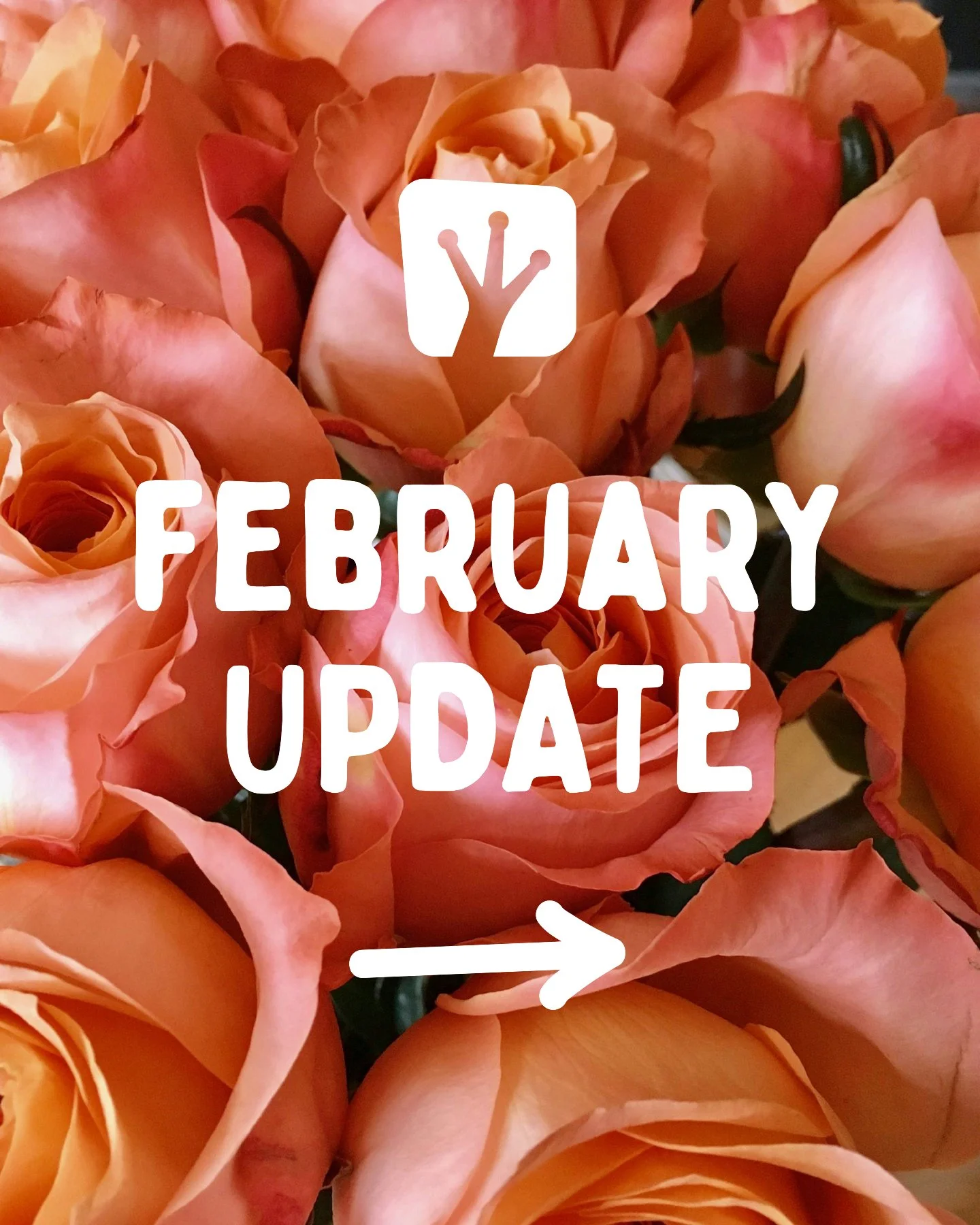 Take a look at what's coming up at Upward Frog in February 💚
⁠
Book online: https://upwardfrogyoga.punchpass.com/classes⁠
⁠

#whatsonstockport #beginnersyoga #gongbath #yinyoga #community #yogastockport