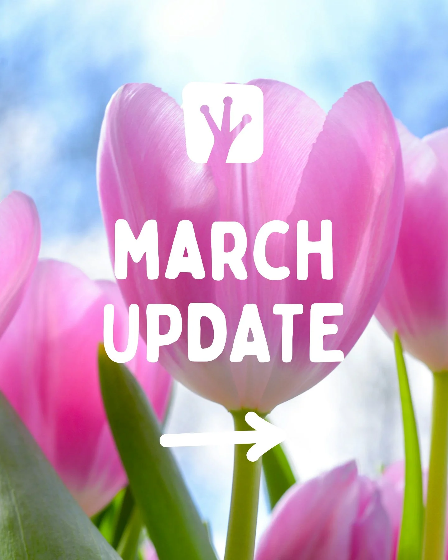 Take a look at what's coming up at Upward Frog in March 💚
⁠
Book online: https://upwardfrogyoga.punchpass.com/classes⁠
⁠

#whatsonstockport #beginnersyoga #gongbath #yinyoga #community #yogastockport