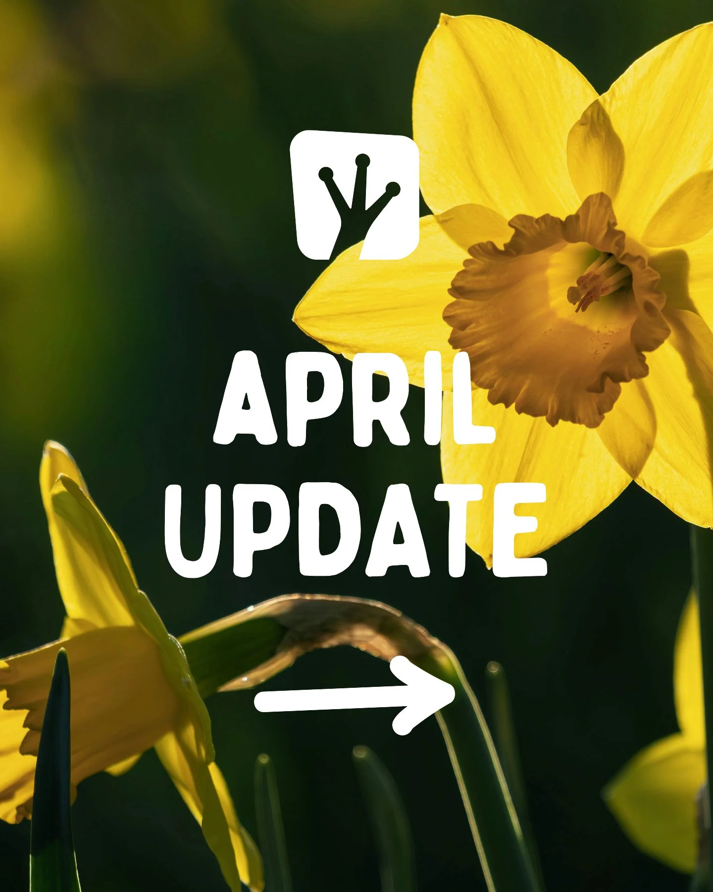 Take a look at what's coming up at Upward Frog in April 💚
⁠
Book online: https://upwardfrogyoga.punchpass.com/classes⁠
⁠

#whatsonstockport  #chairyoga #yinyoga #community #yogastockport