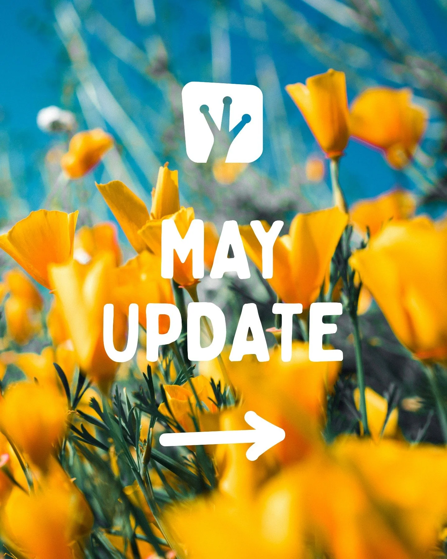 Take a look at what's coming up at Upward Frog in May 💚
⁠
Book online: https://upwardfrogyoga.punchpass.com/classes⁠
⁠

#whatsonstockport #yinyoga #community #yogastockport