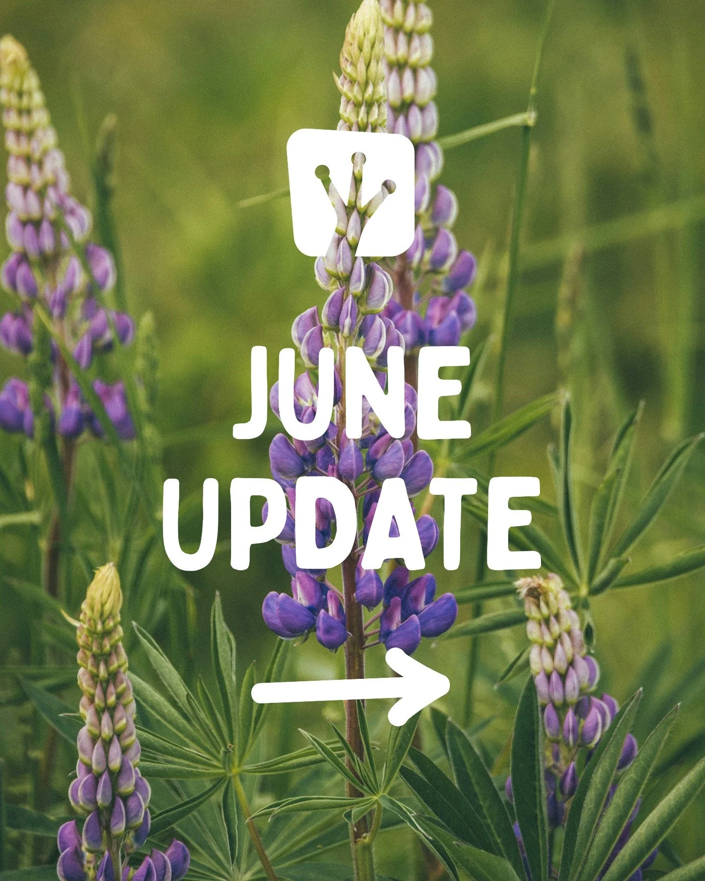 Take a look at what's coming up at Upward Frog in June 💚
⁠
Book online: https://upwardfrogyoga.punchpass.com/classes⁠
⁠

#whatsonstockport #yinyoga #community #yogastockport