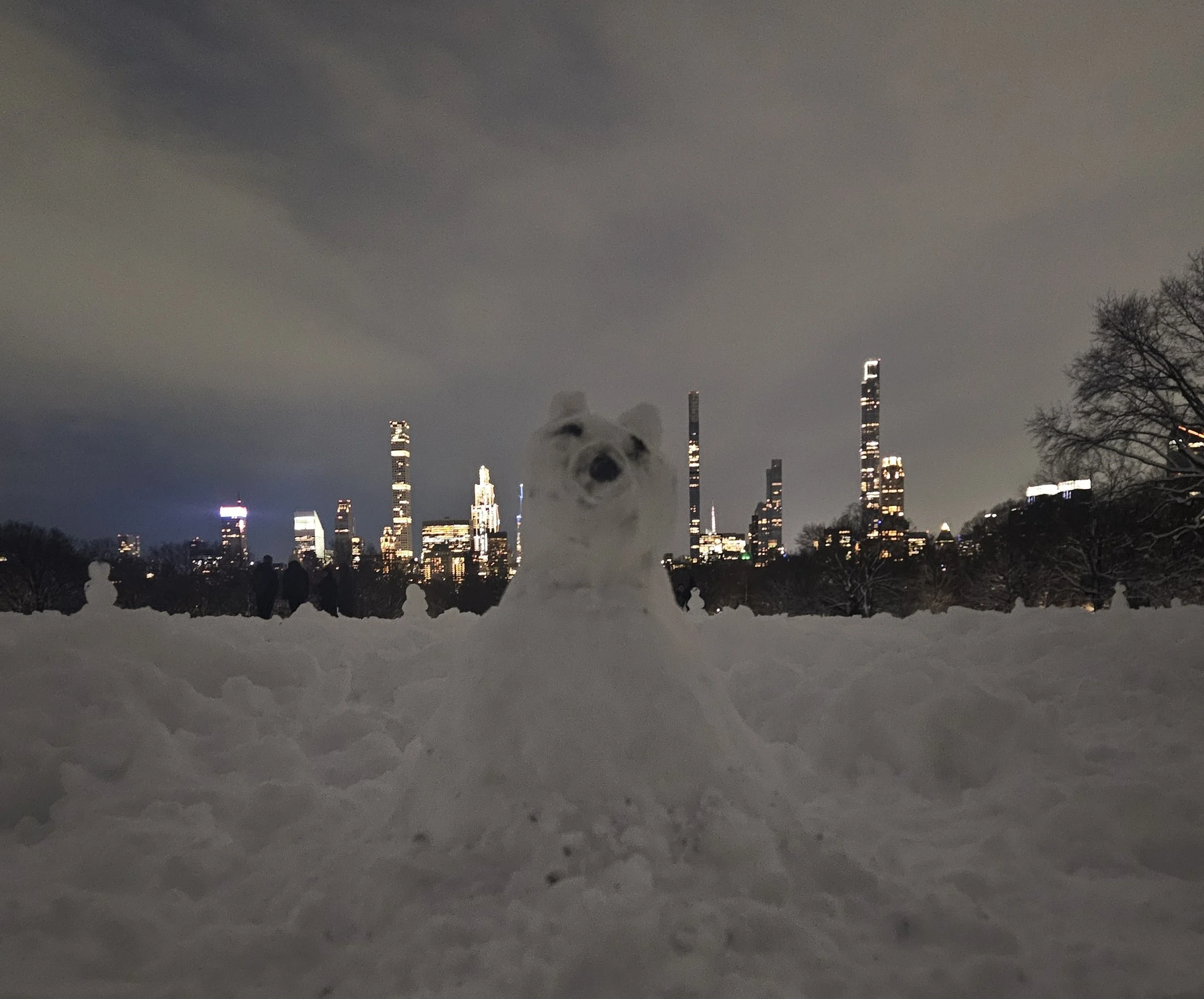 Made and photographed by Barrie Allen, February 2026