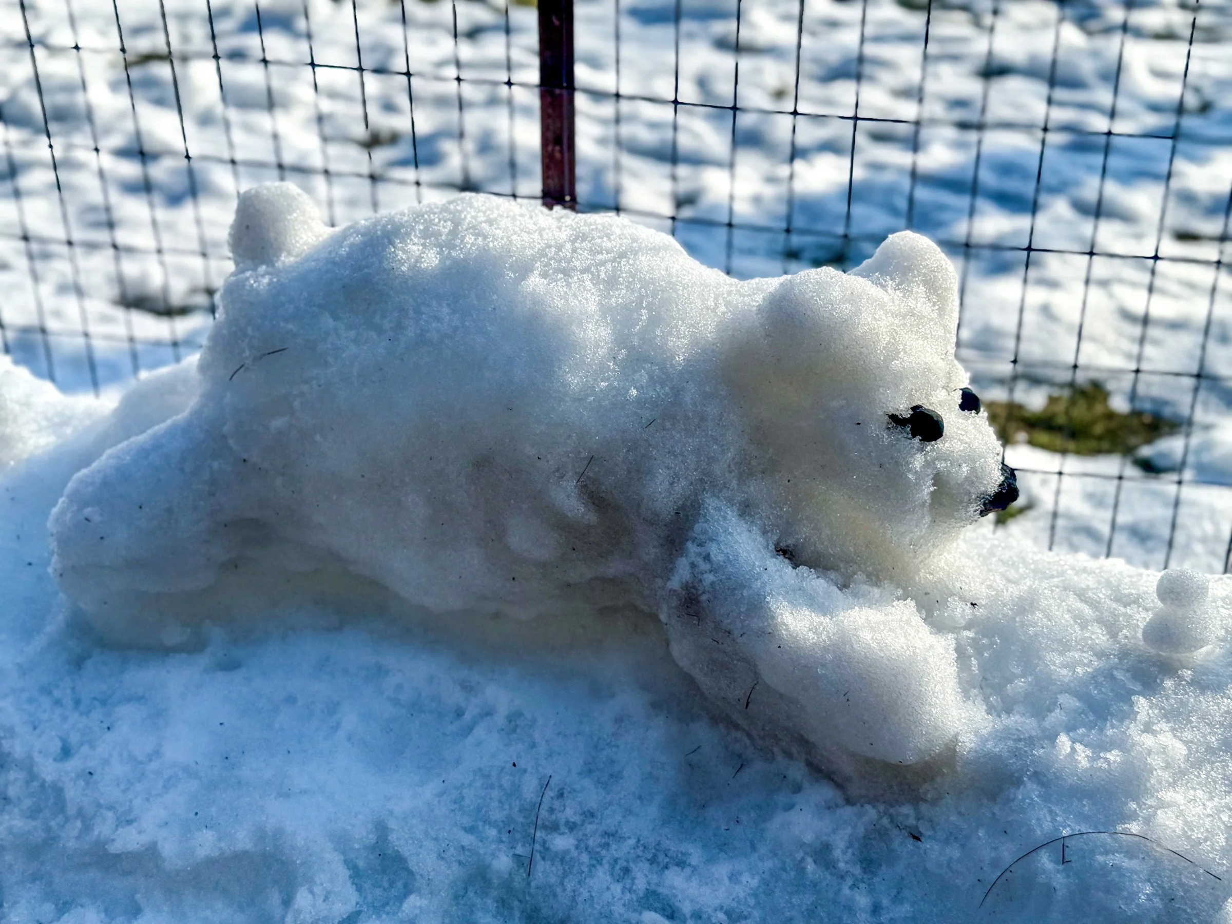 Photographed by Stan Schnier, February 2026