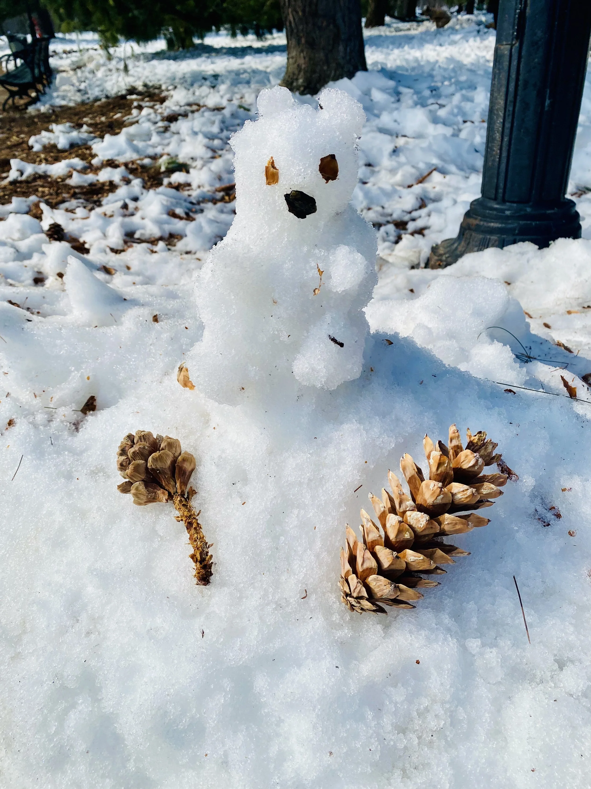 Made and photographed by Julie Coleman, February 2026