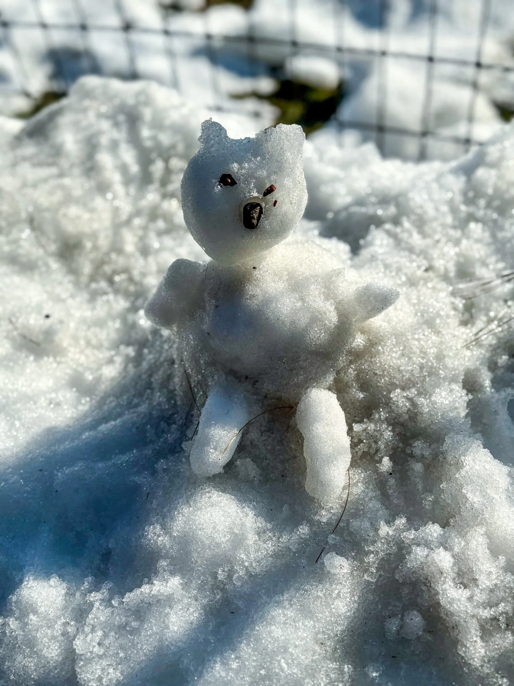 Photographed by Stan Schnier, February 2026