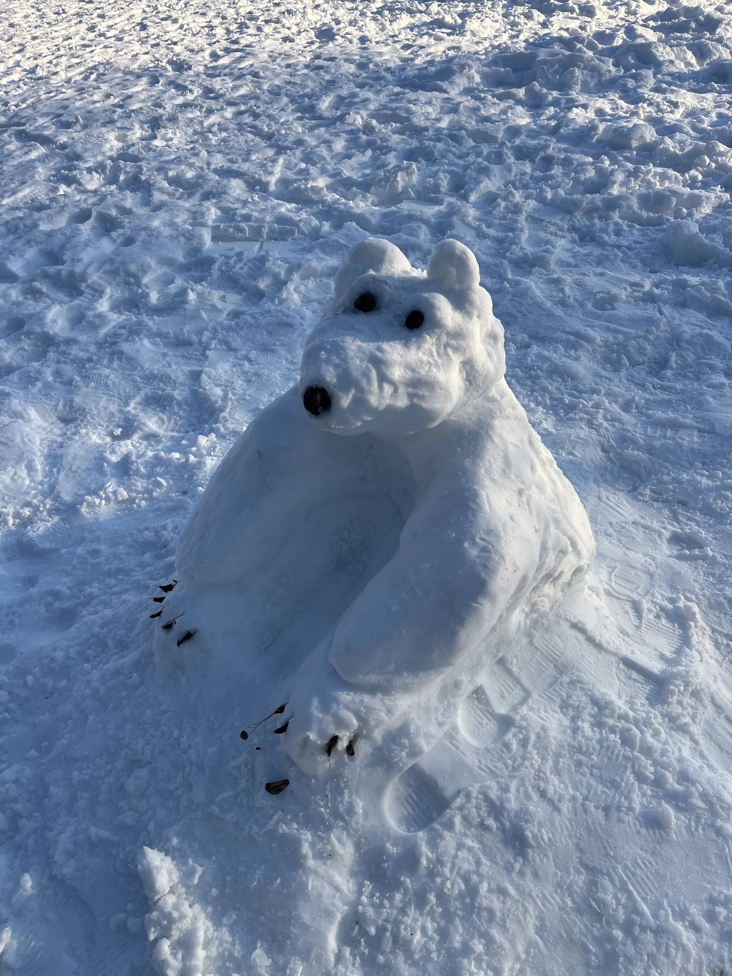 Photographed by Heide Hatry, February 2026