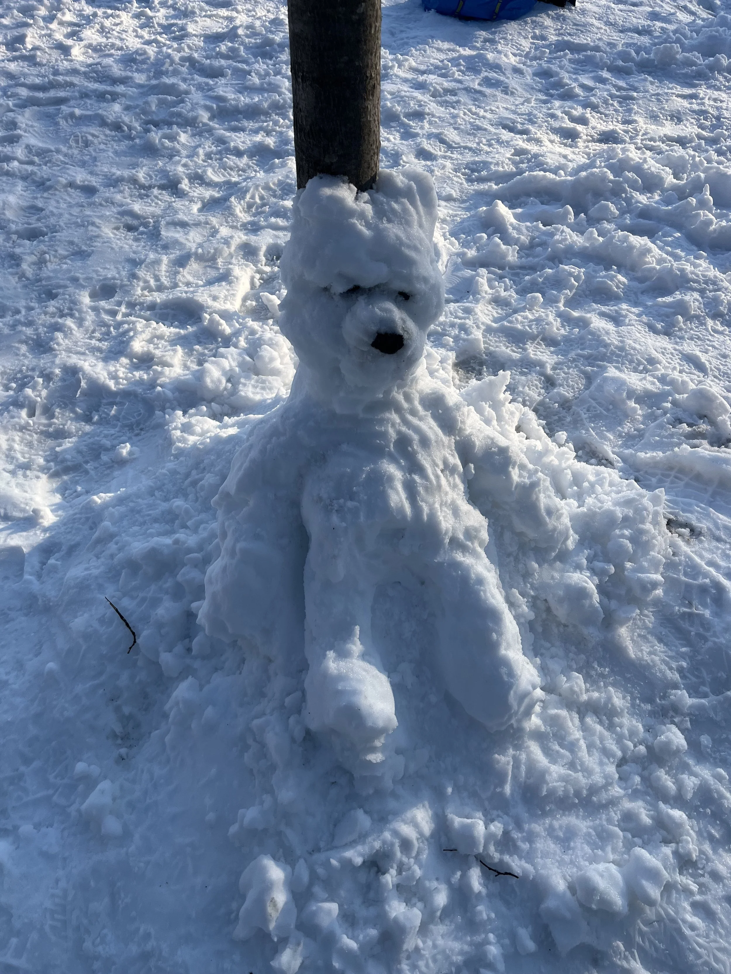 Photographed by Heide Hatry, February 2026