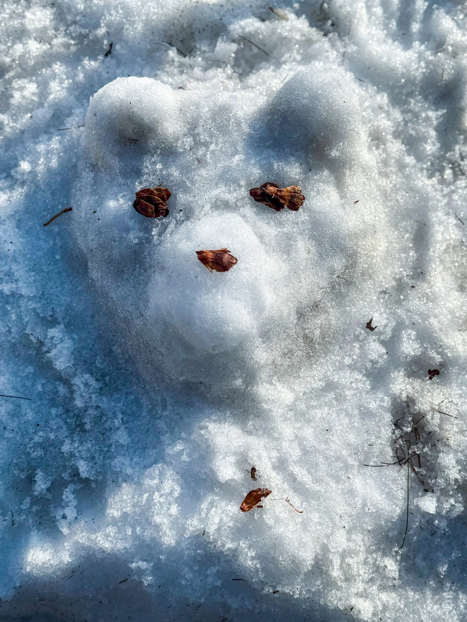 Photographed by Stan Schnier, February 2026