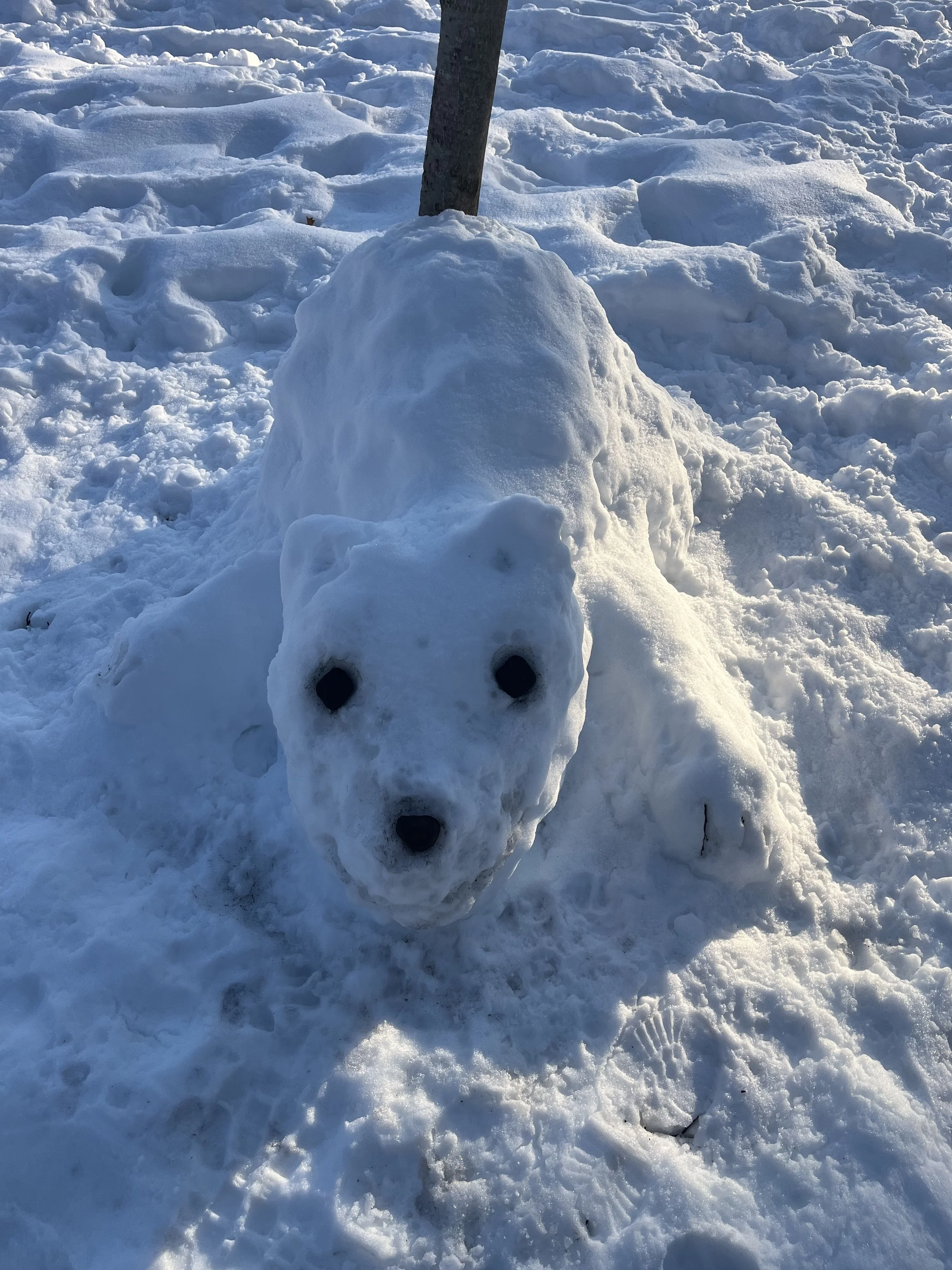 Photographed by Heide Hatry, February 2026