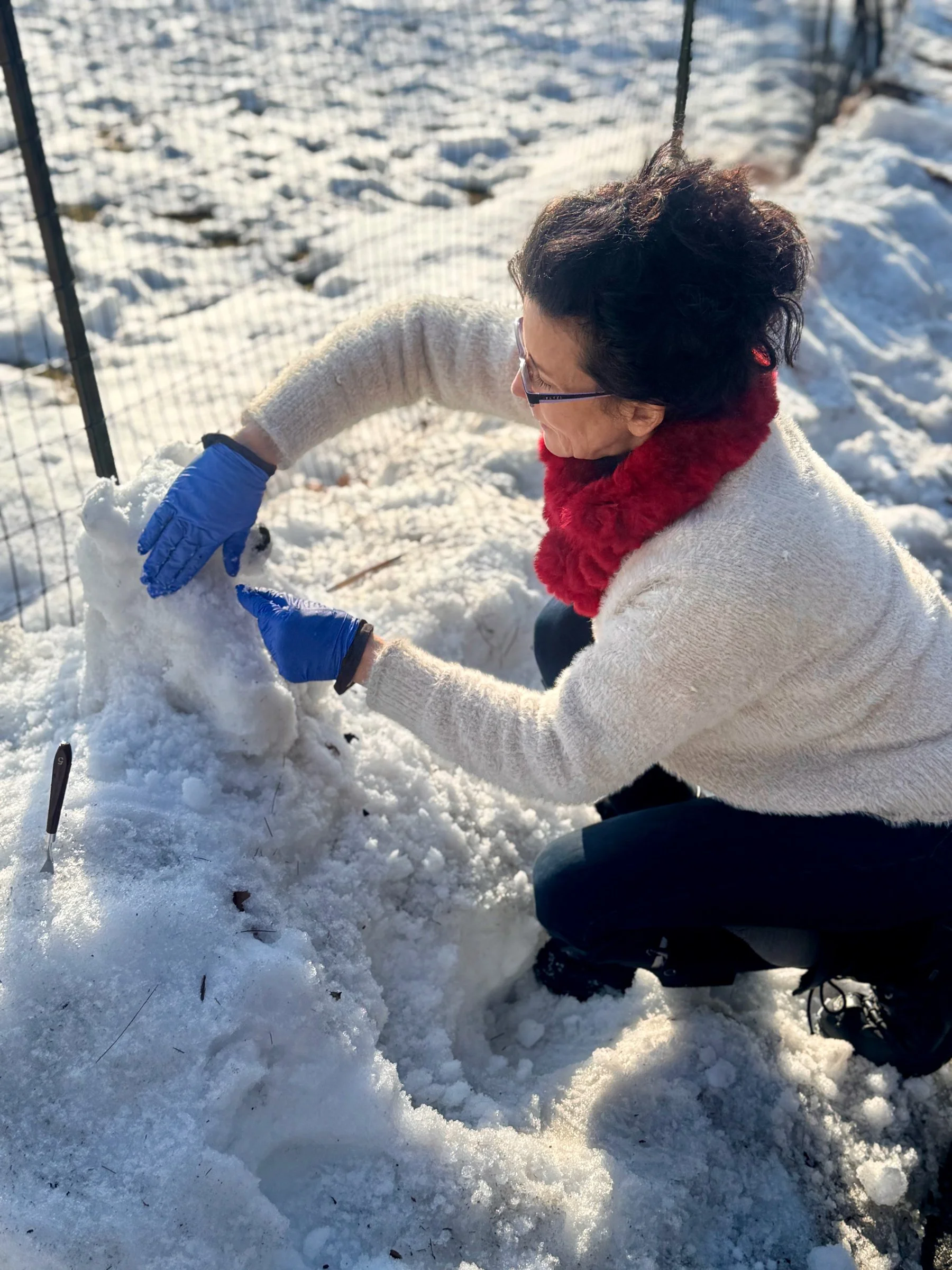 Made by Heide Hatry, photographed by Stan Schnier, February 2026