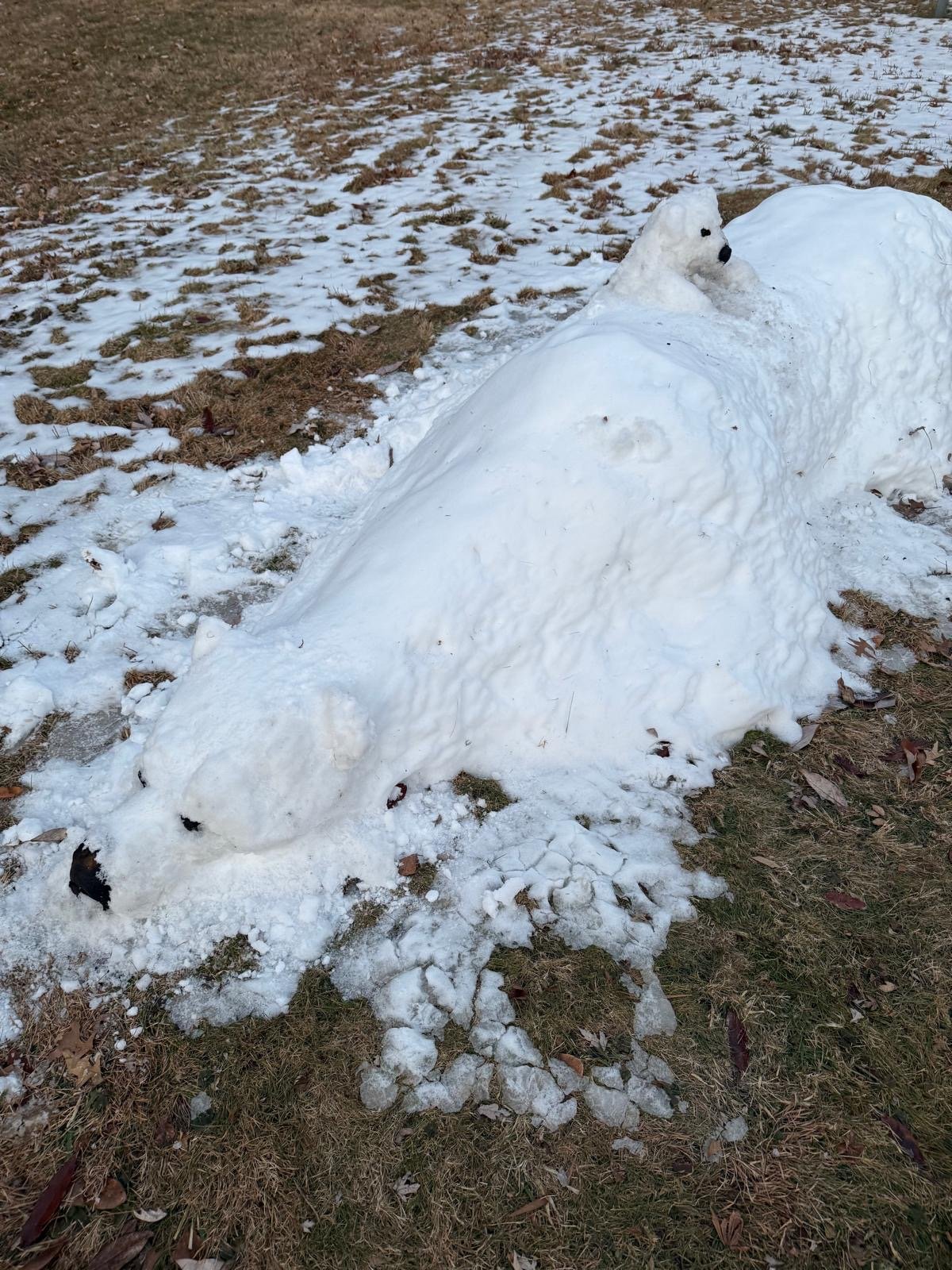 Photographed by @heidehatry, January 2026