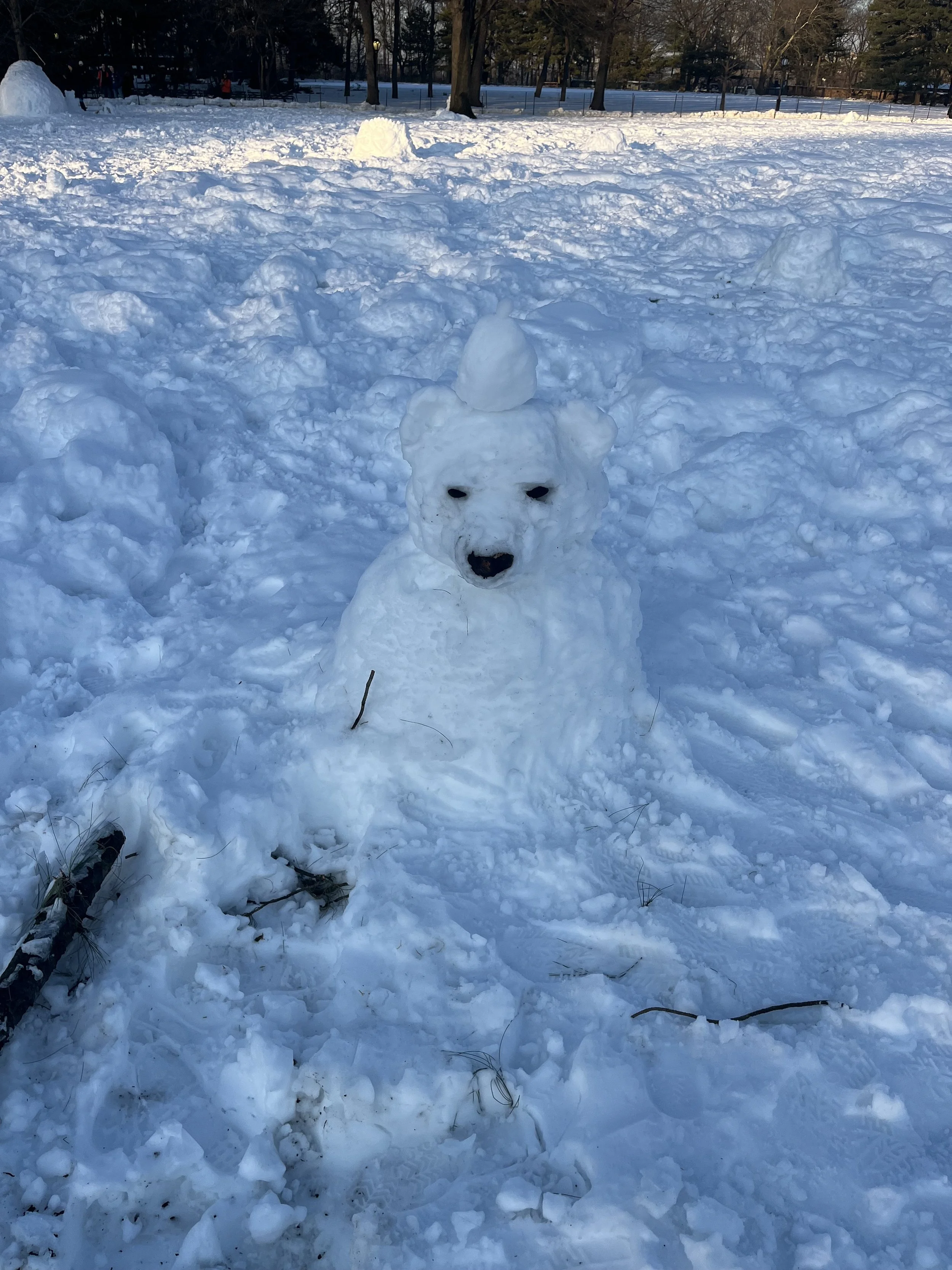 Photographed by Heide Hatry, February 2026