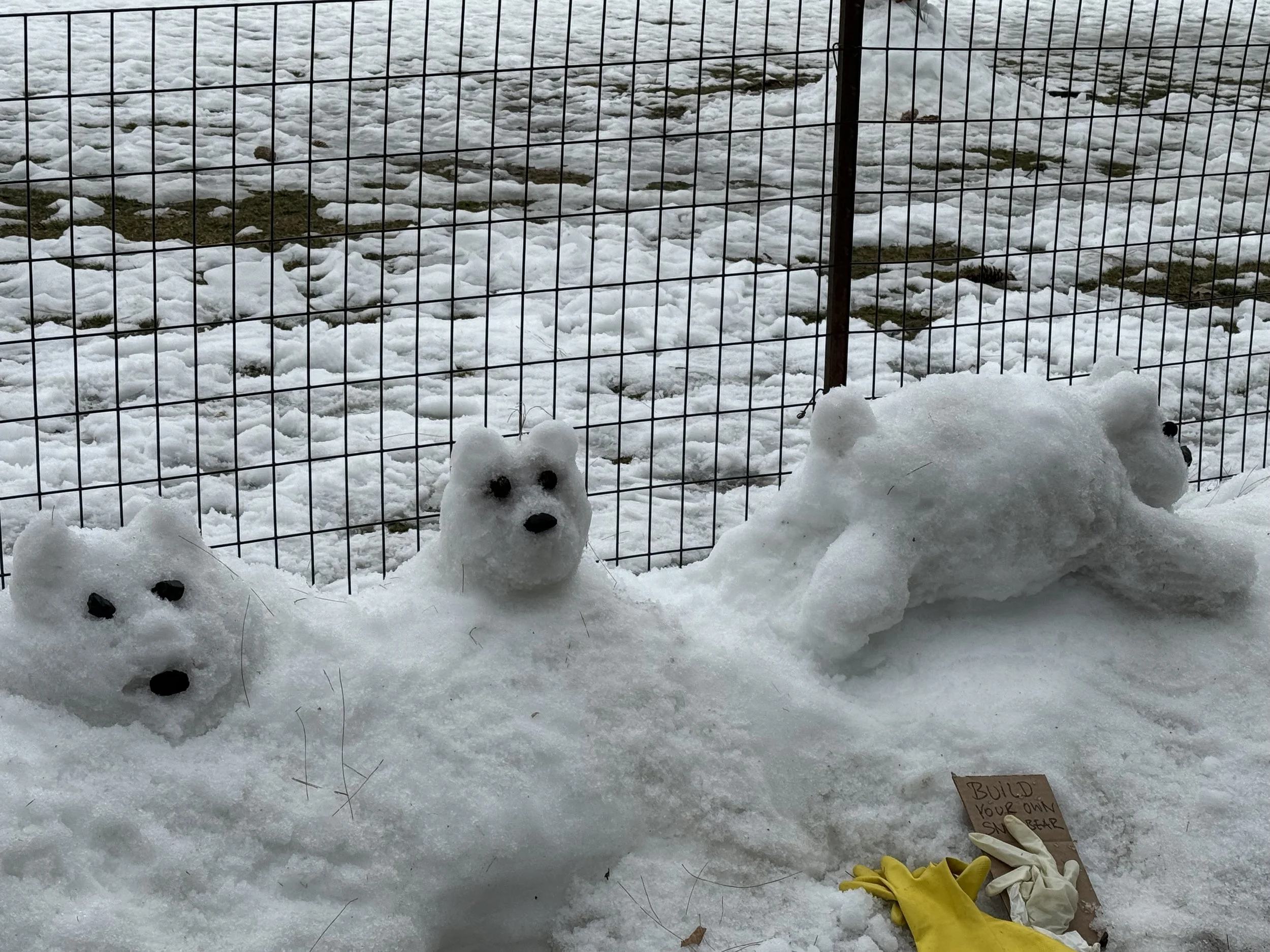 Photographed by Ryan Tsau, February 2026