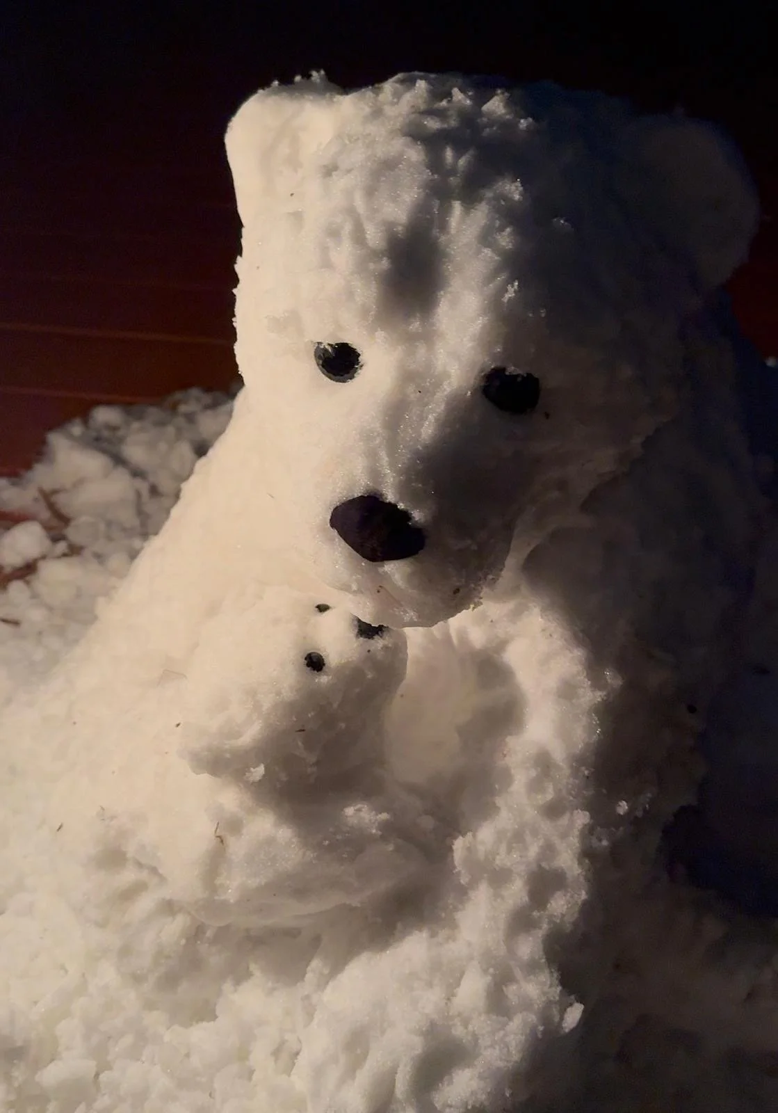 Photographed by @heidehatry, January 2026