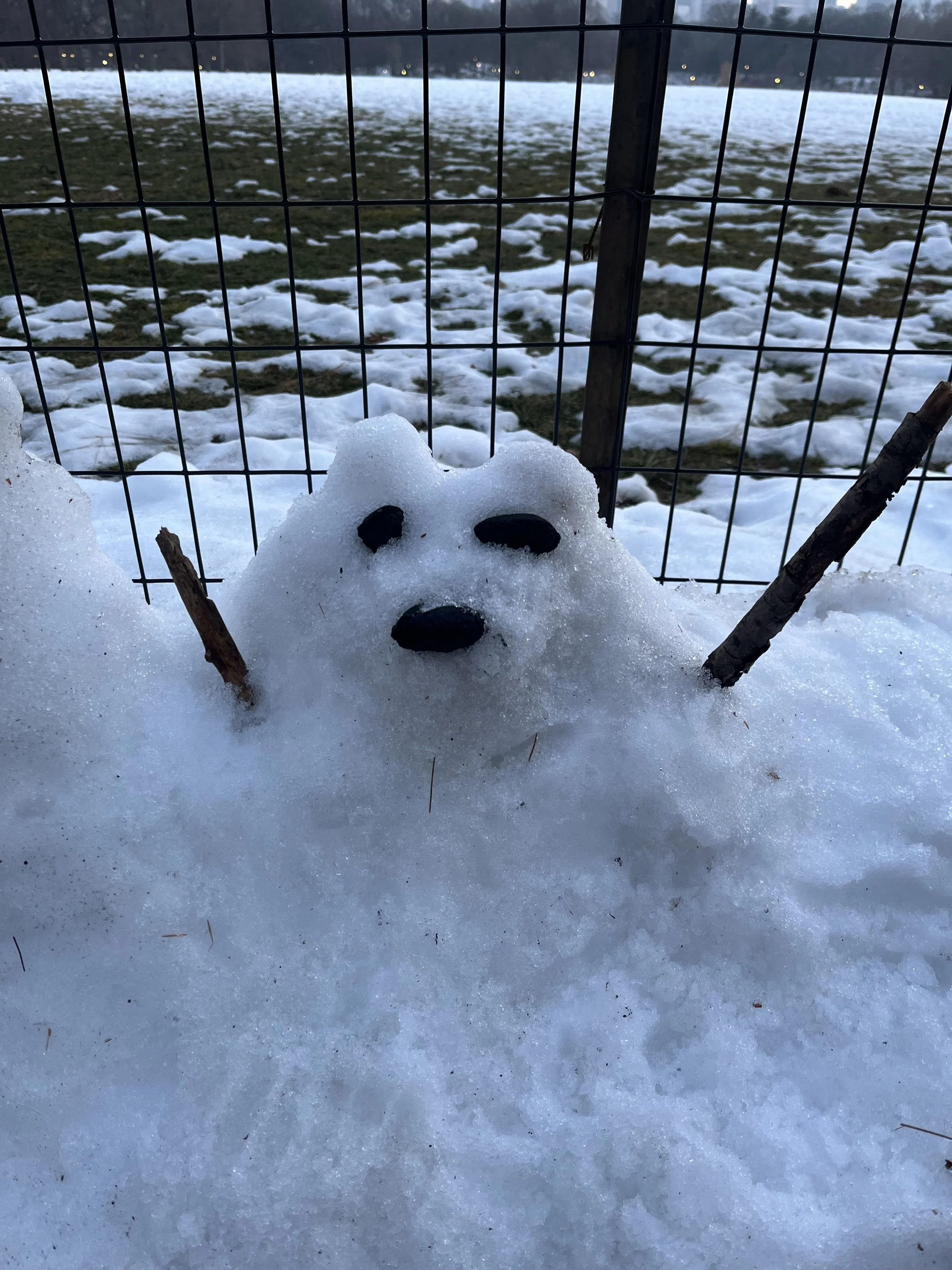 Photographed by Eve Caughey, February 2026