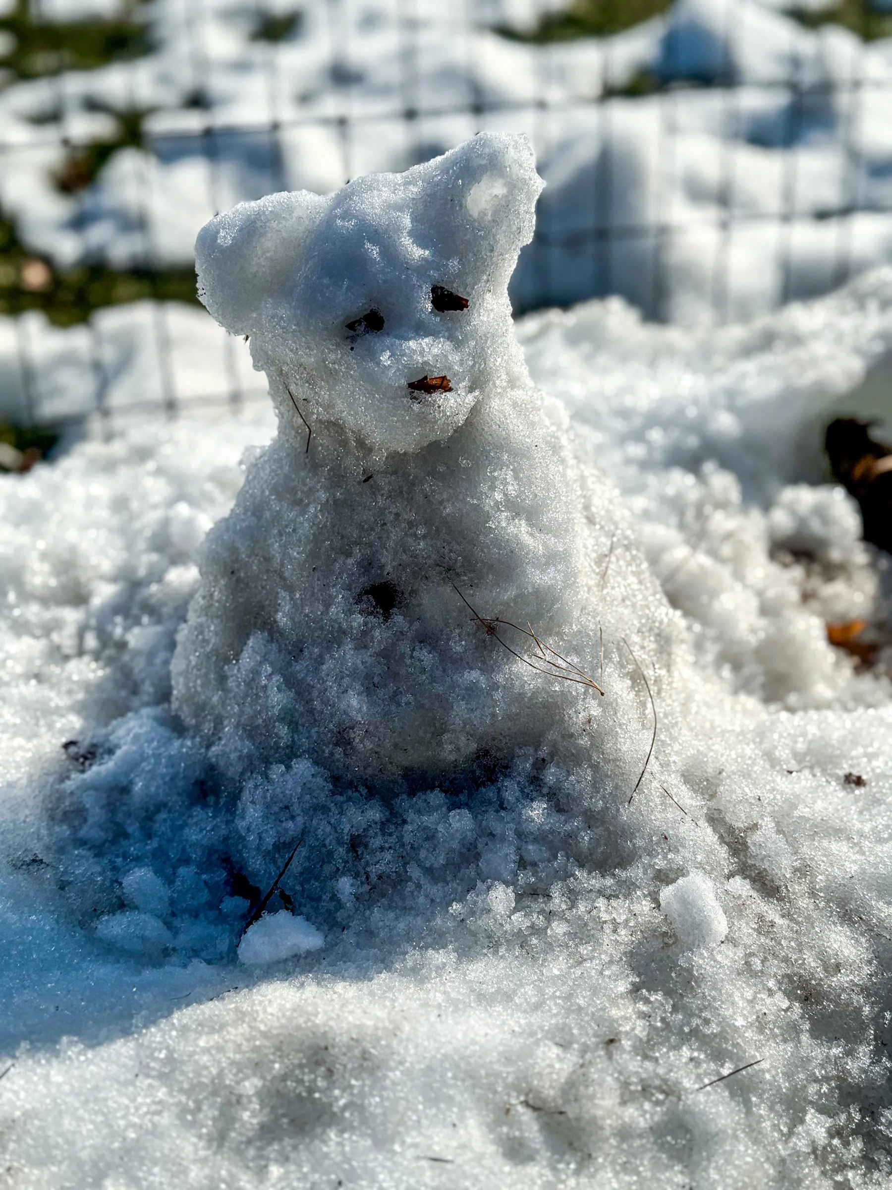 Photographed by Stan Schnier, February 2026