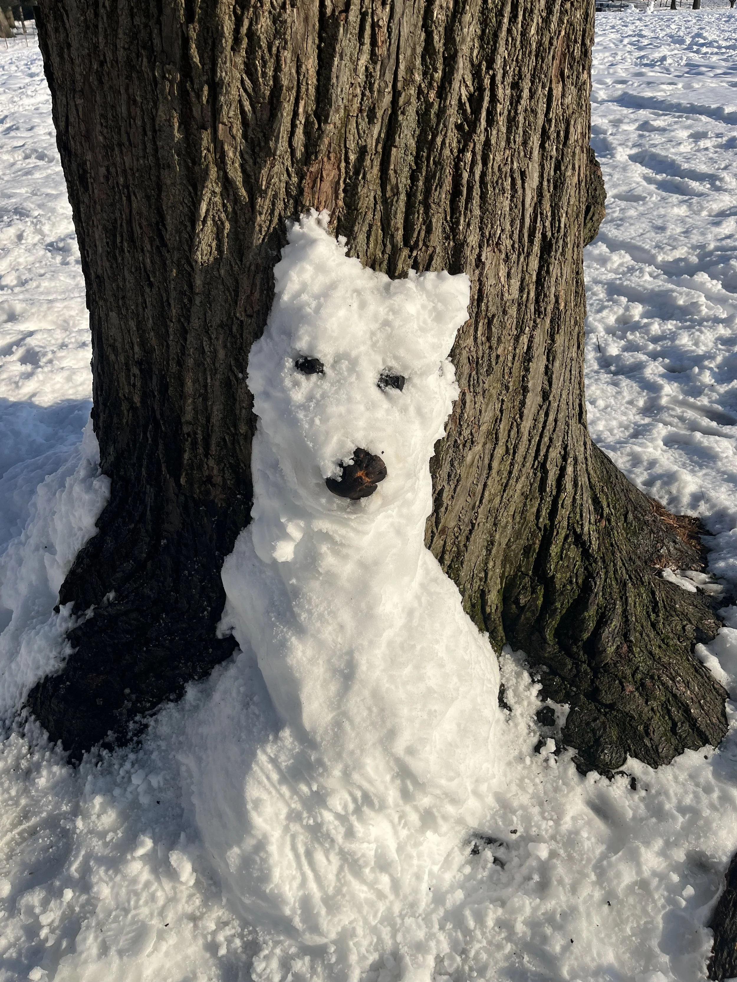 Photographed by Heide Hatry, February 2026