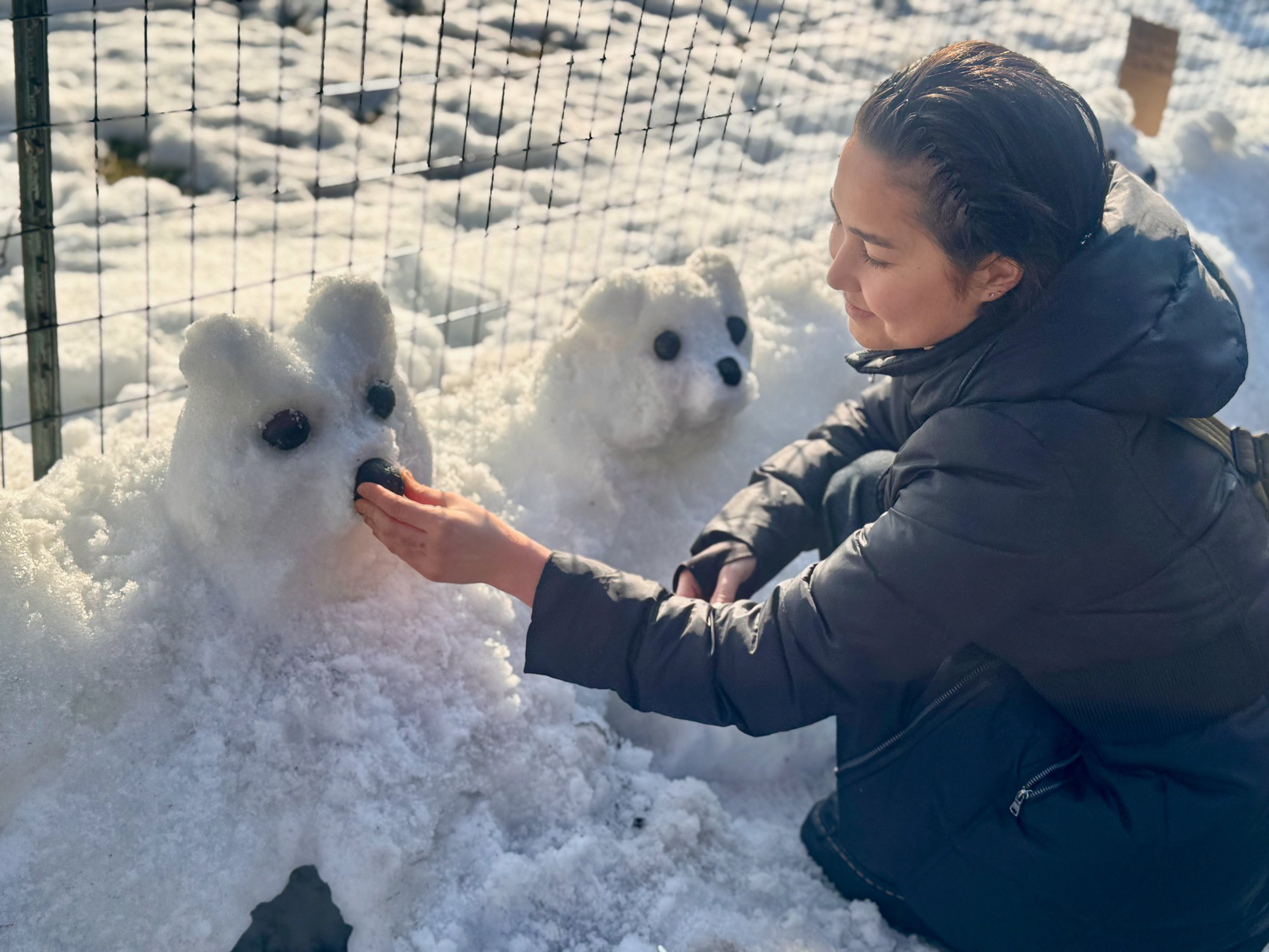 Photographed by Stan Schnier, February 2026