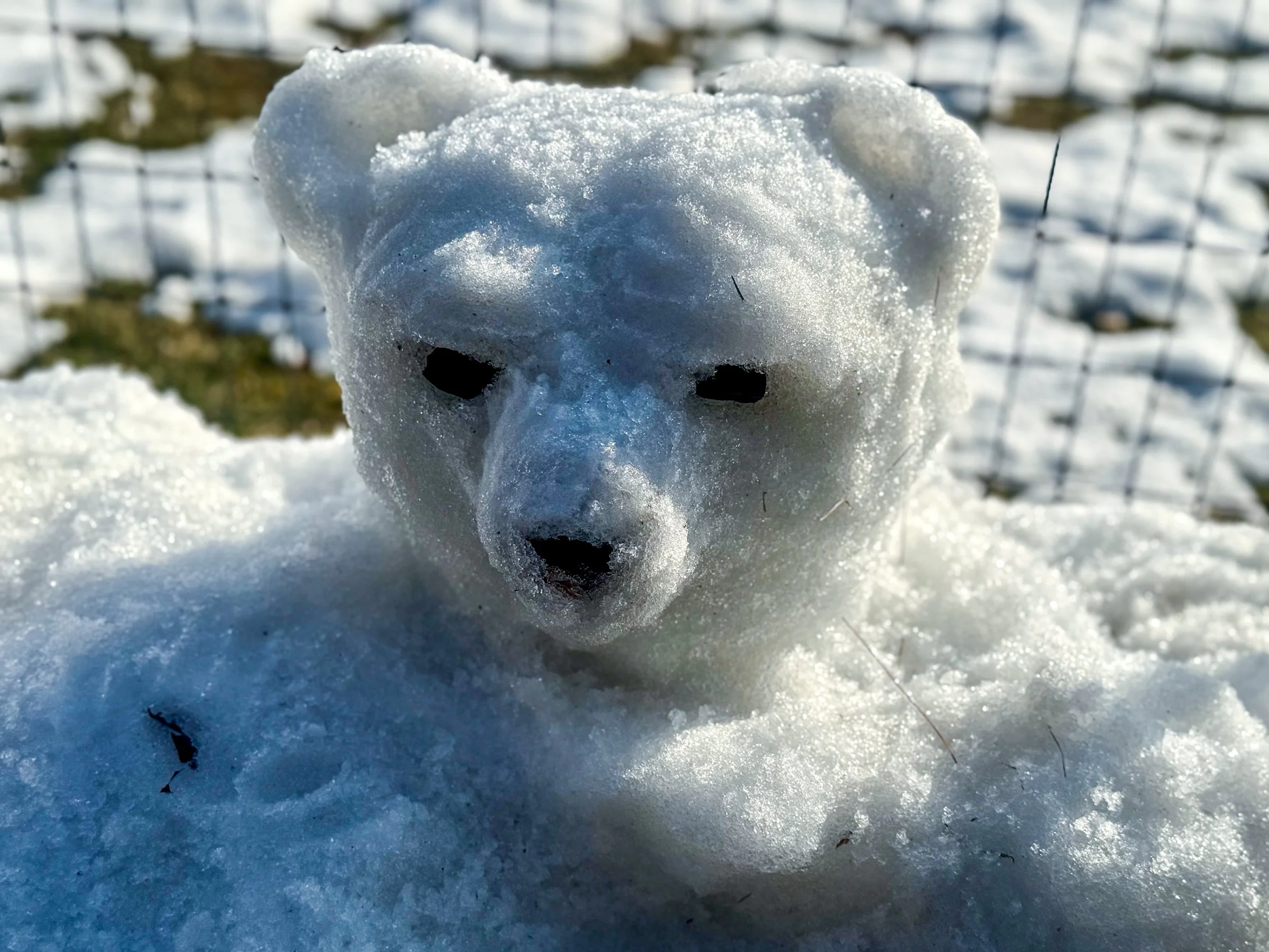 Made by Heide Hatry, photographed by Stan Schnier, February 2026