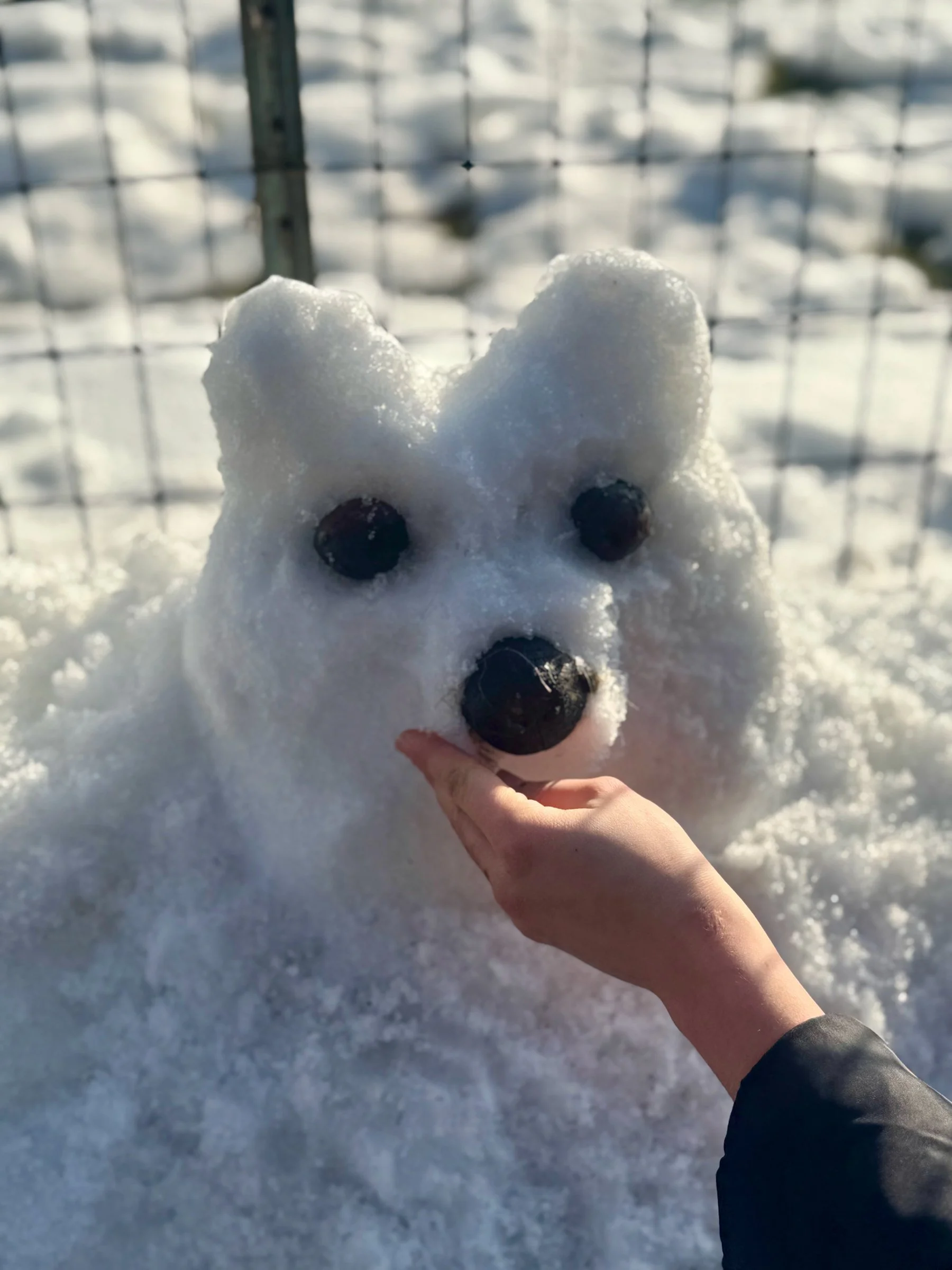 Photographed by Stan Schnier, February 2026