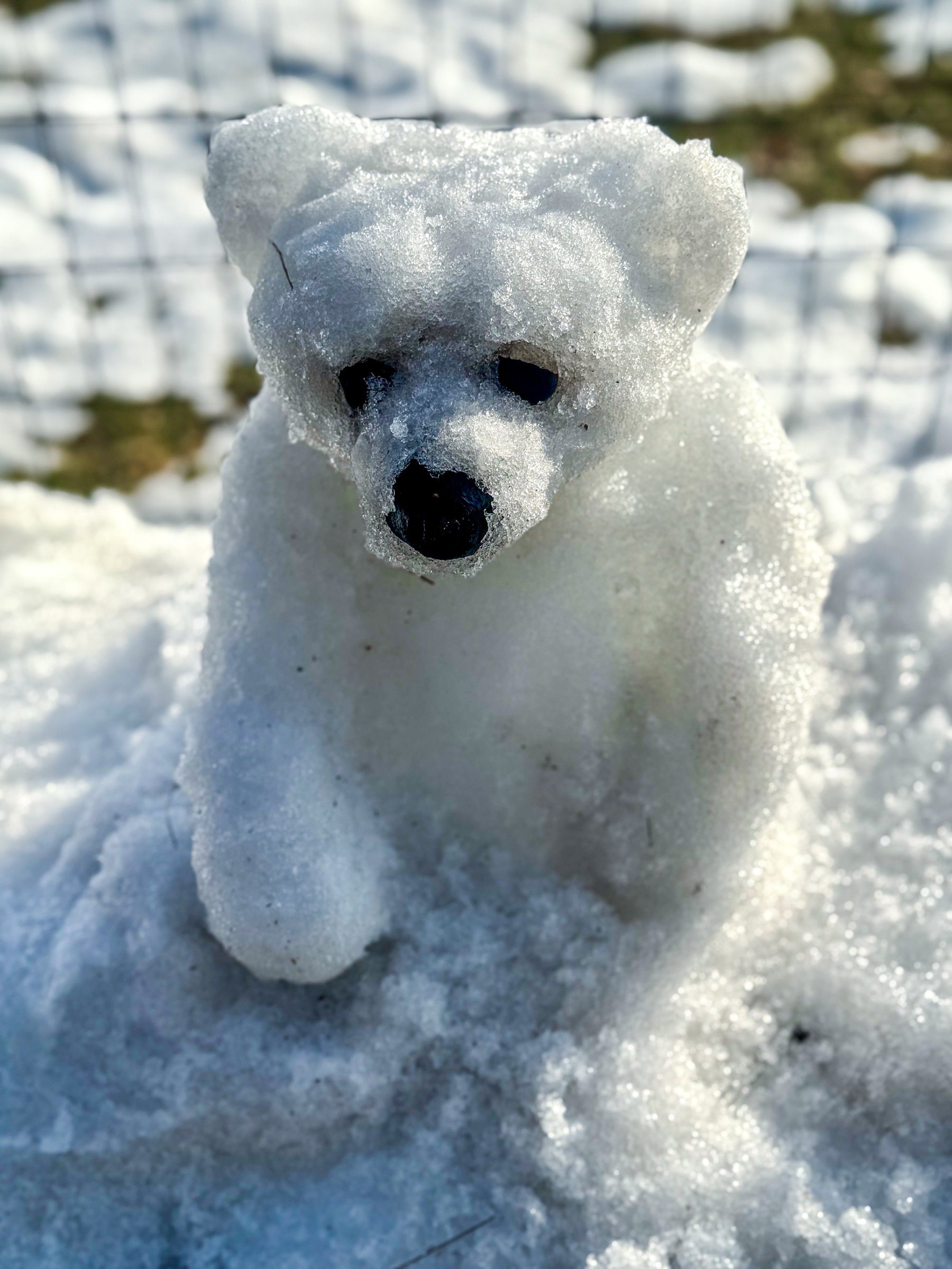 Made by Heide Hatry, photographed by Stan Schnier, February 2026