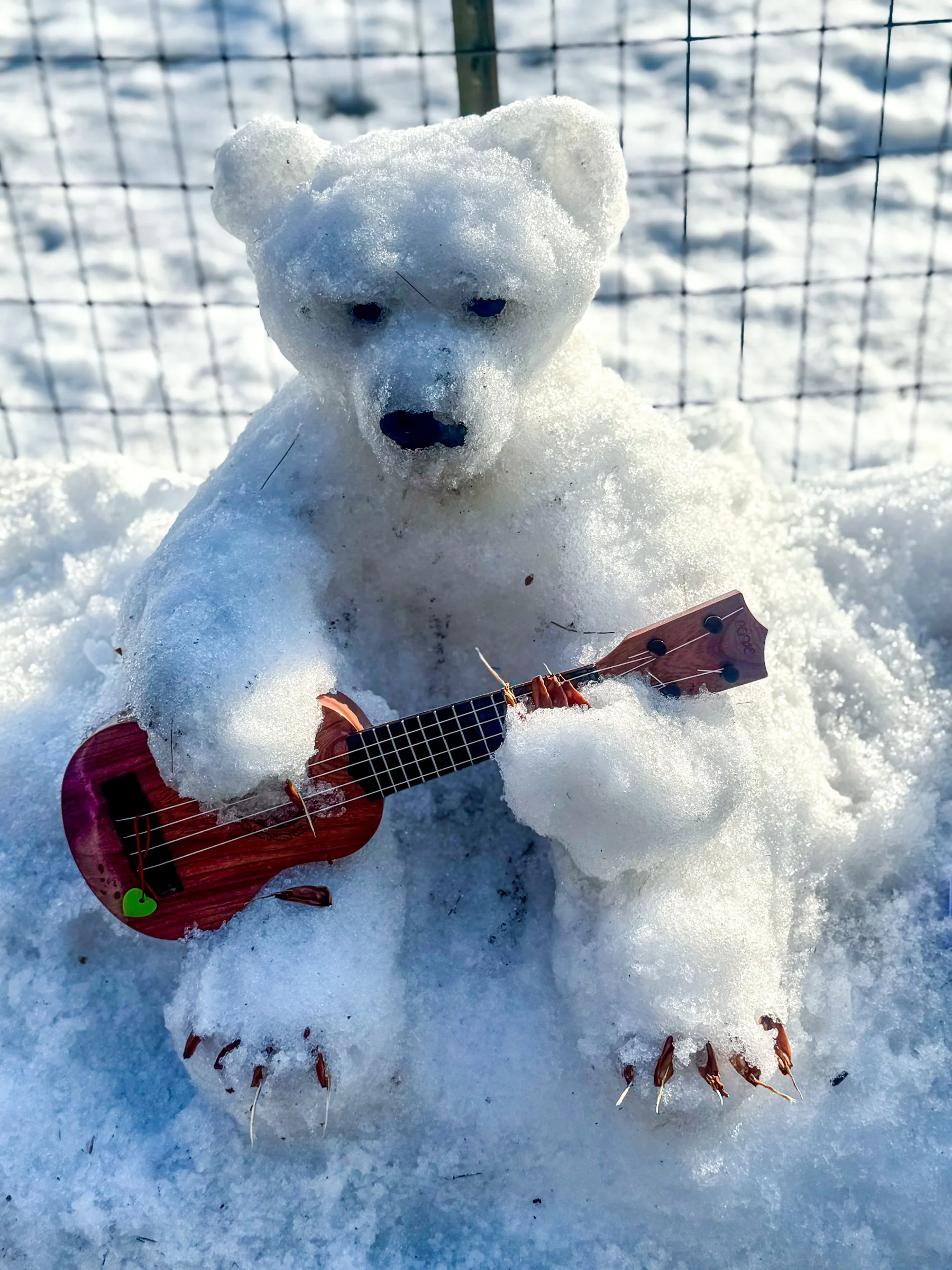 Made by Heide Hatry, photographed by Stan Schnier, February 2026