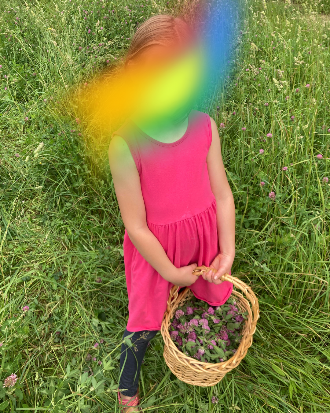 Untitled design (6).png