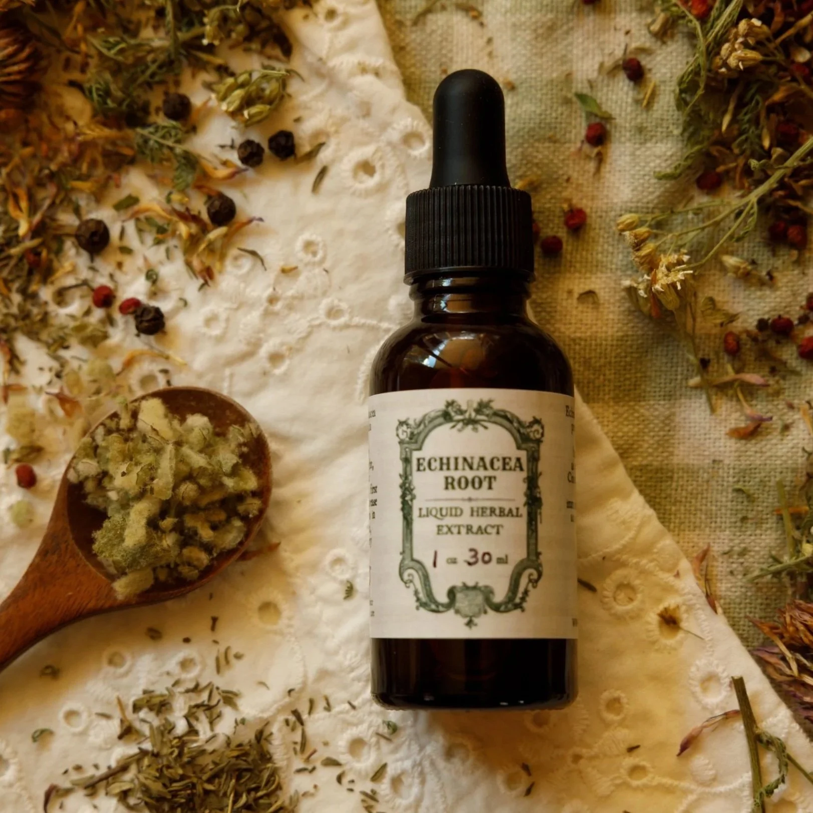 Echinacea Root Liquid Herbal Extract