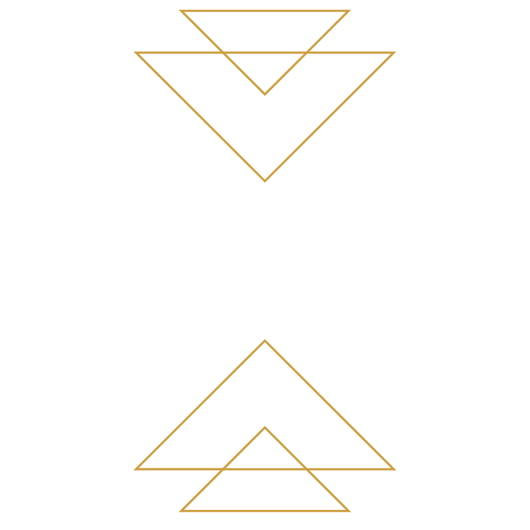 Embrace Therapy &amp; Support