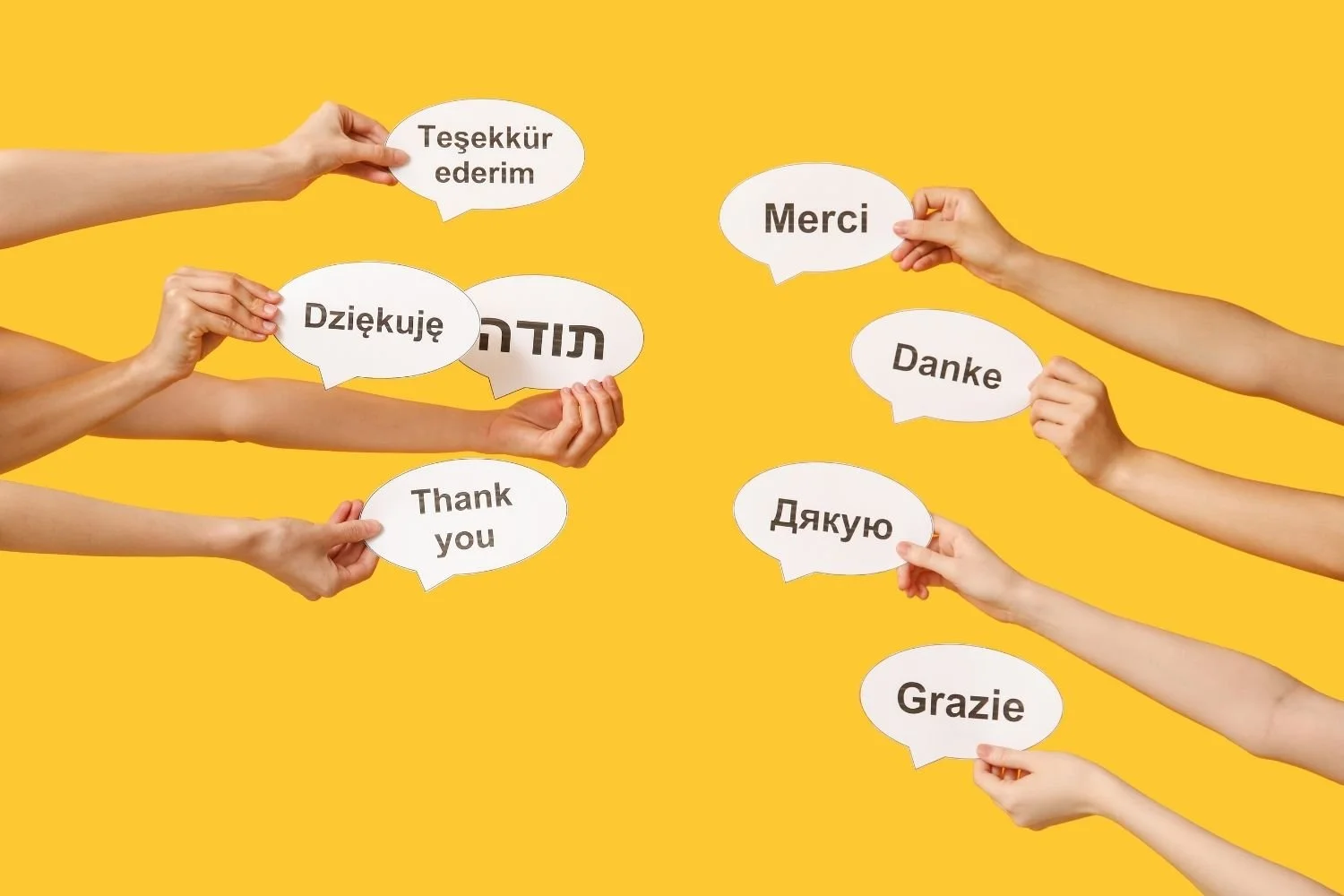 Qué es la traducción de audio con Meta AI