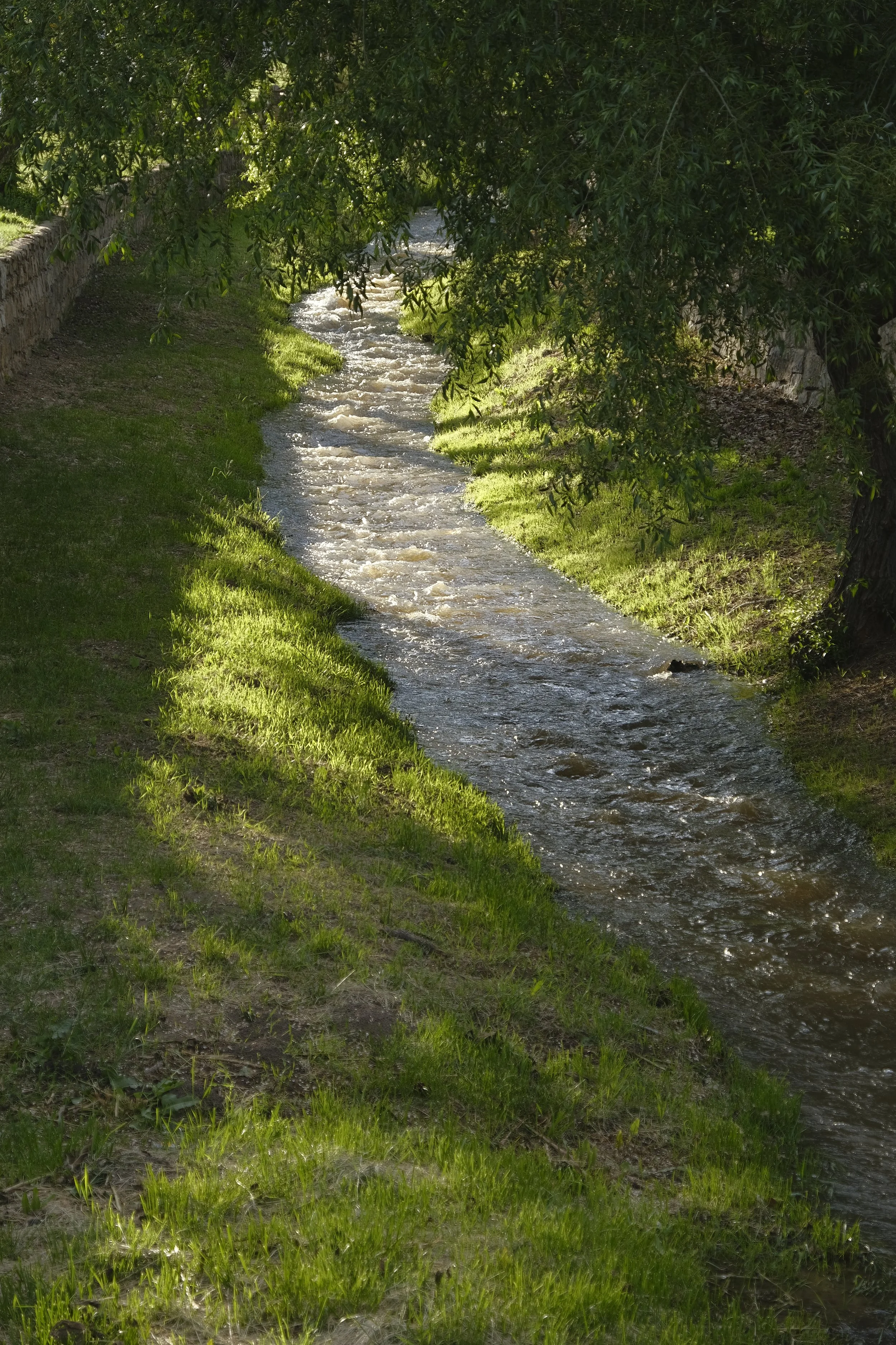 _DSF3625.JPG