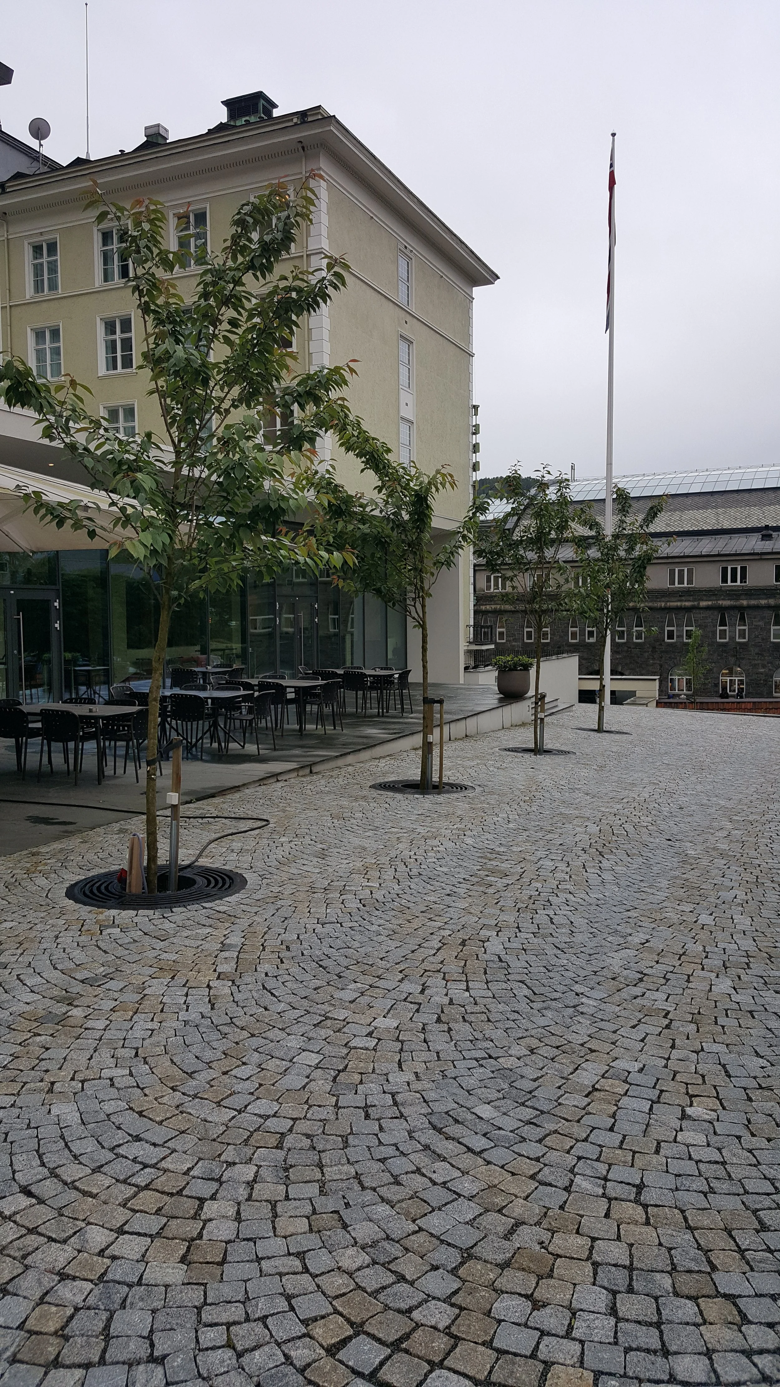 20170622_103654.jpg