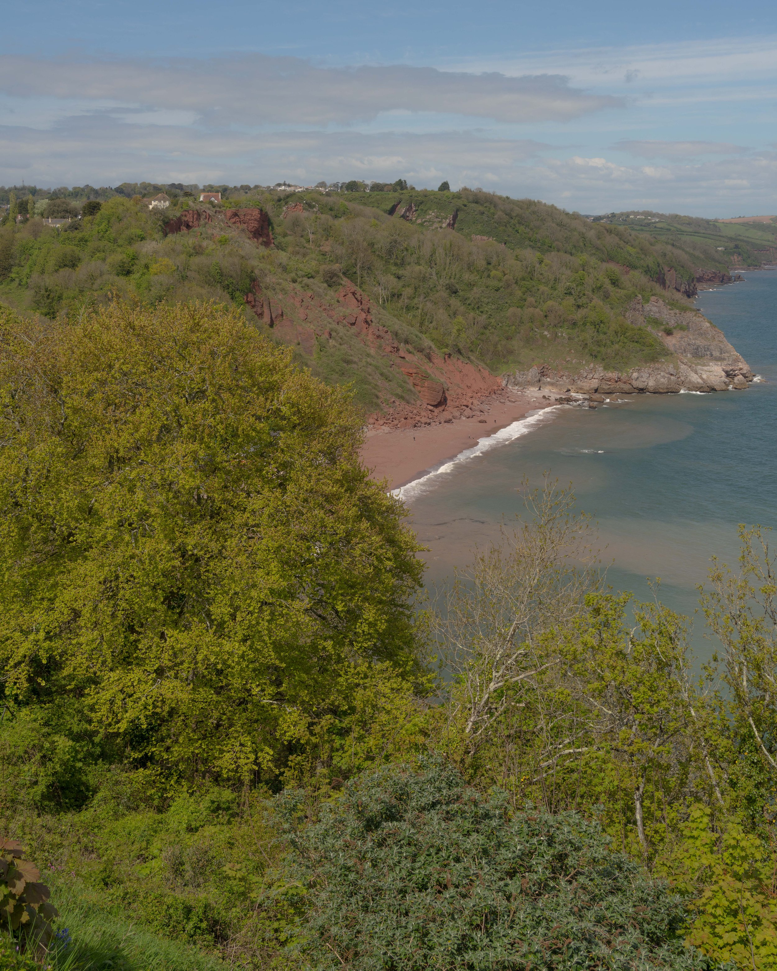 Oddicombe Beach from the clifftops