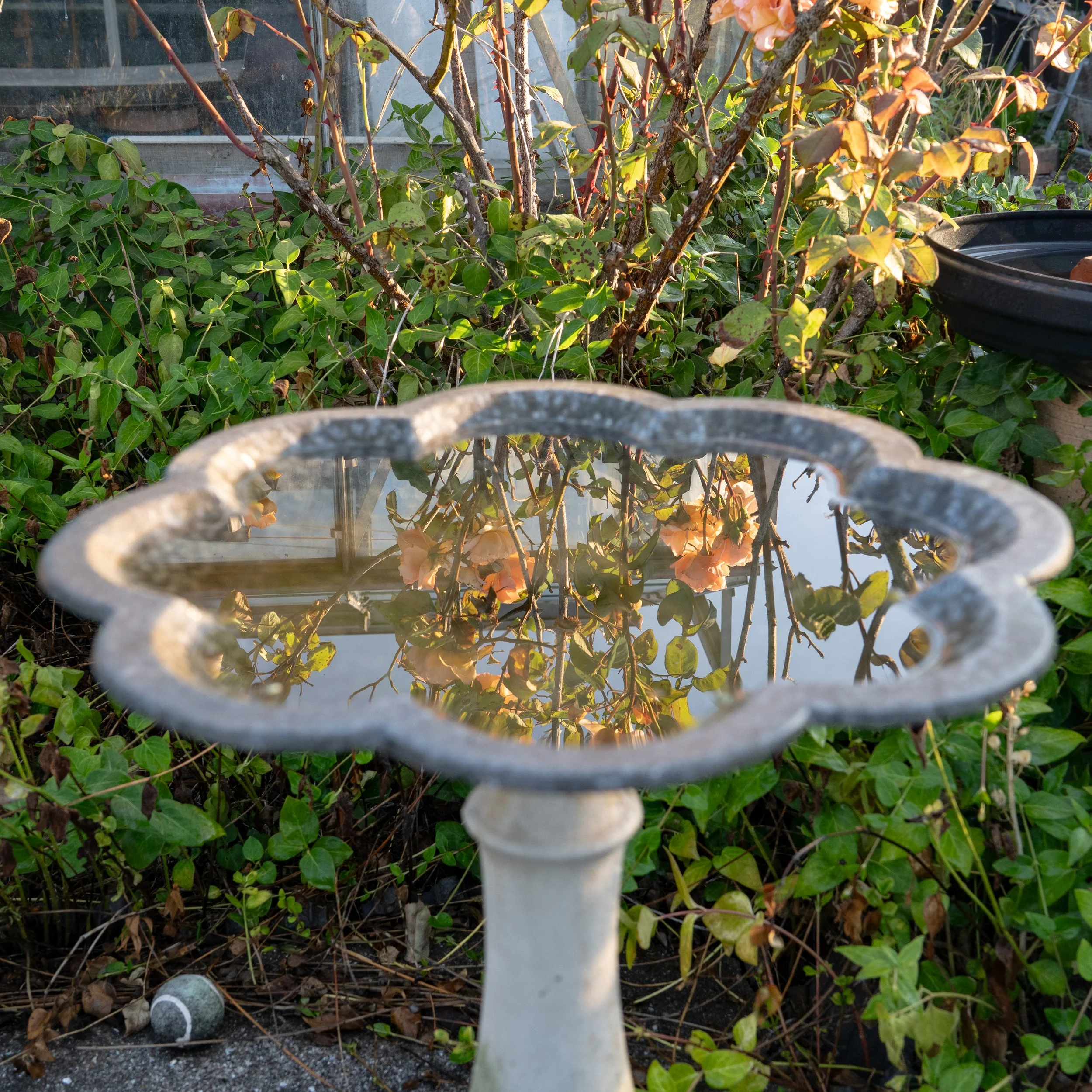 water-104.jpg