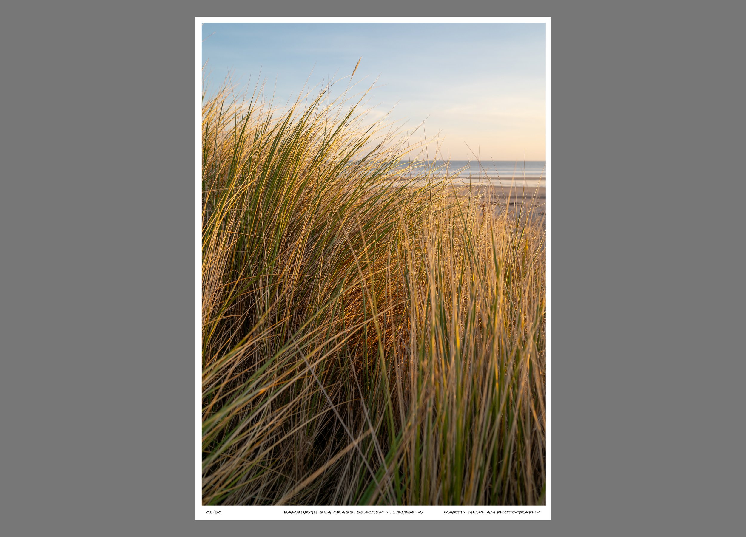 Sea Grass #1