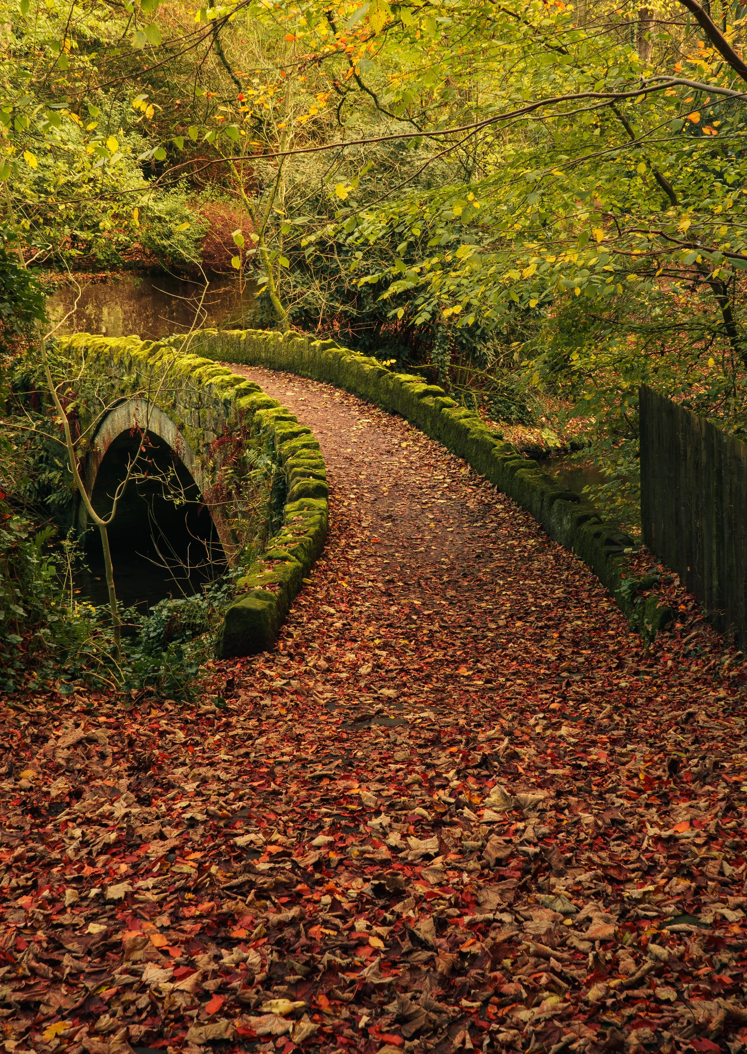 A moss-covered stone arched footbridge over a small stream on a leaf-covered woodland path in autumn, surrounded by trees with green and yellow leaves.