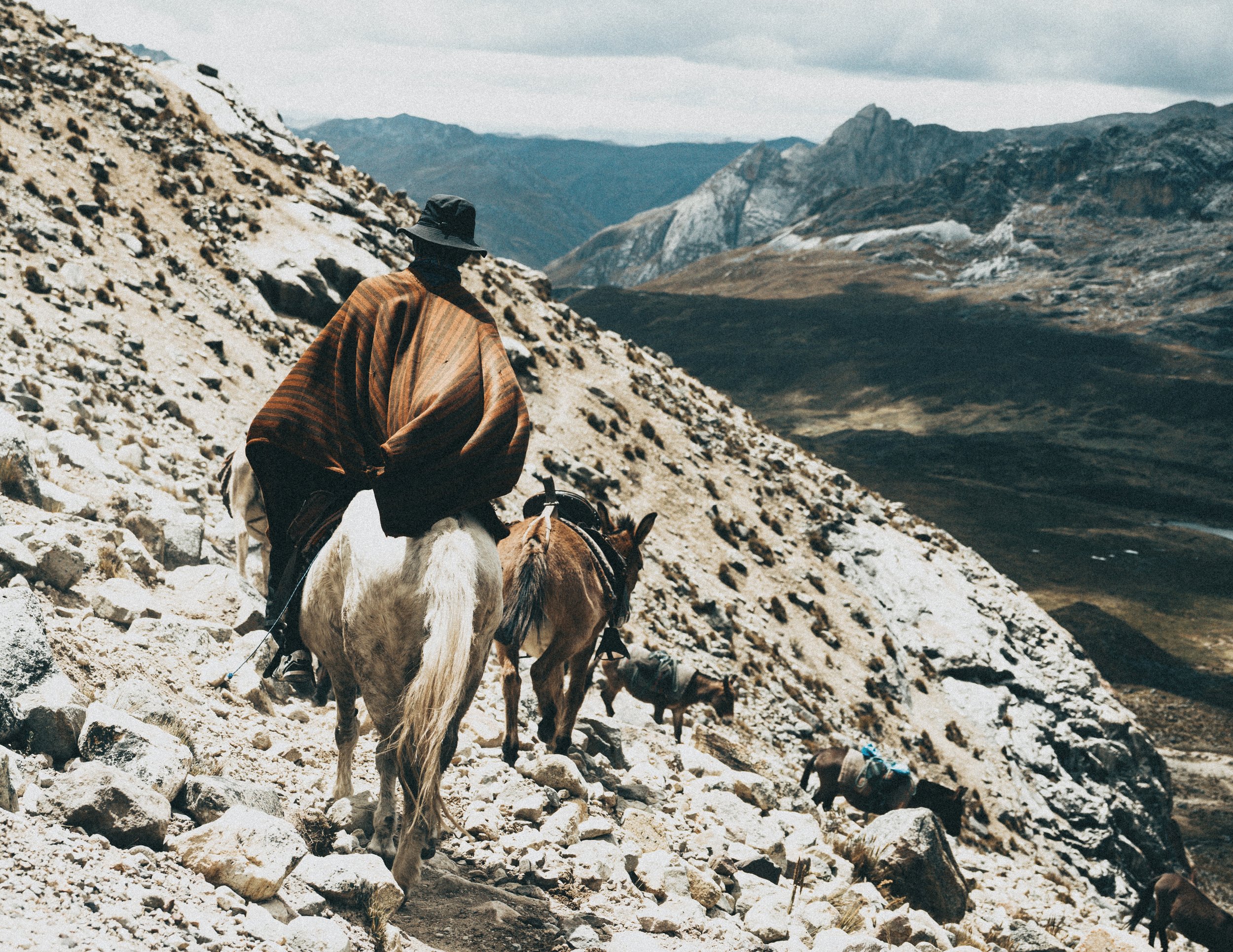 2025_08_Teva (1 of 1)-227.jpg