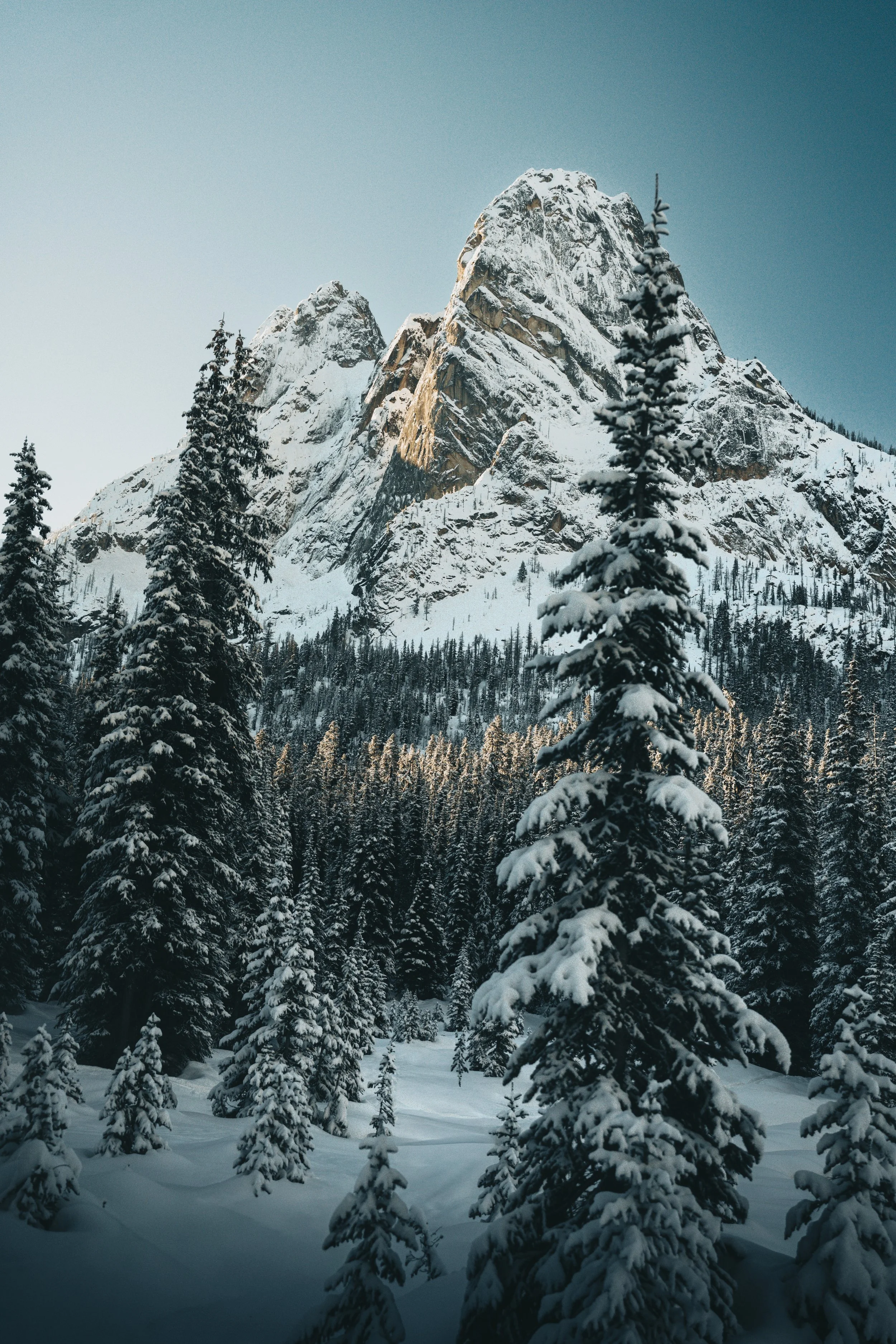 wapass (1 of 1).jpg