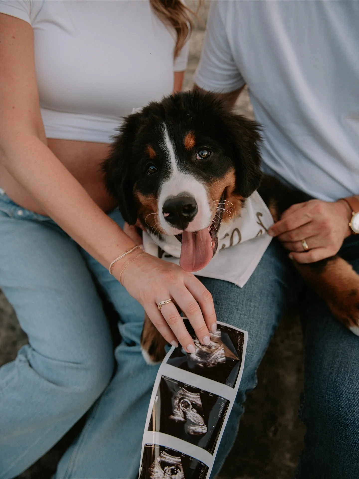Fun fact: One of my favorite things ever is when dogs have strong people names.

Meet Gary. He&rsquo;s the sweetest pup, and he&rsquo;s about to be a big brother! 💙
.
.
.
.
.
.
.
.
.
#austinmaternityphotography #austinmaternityphotographer #austinma