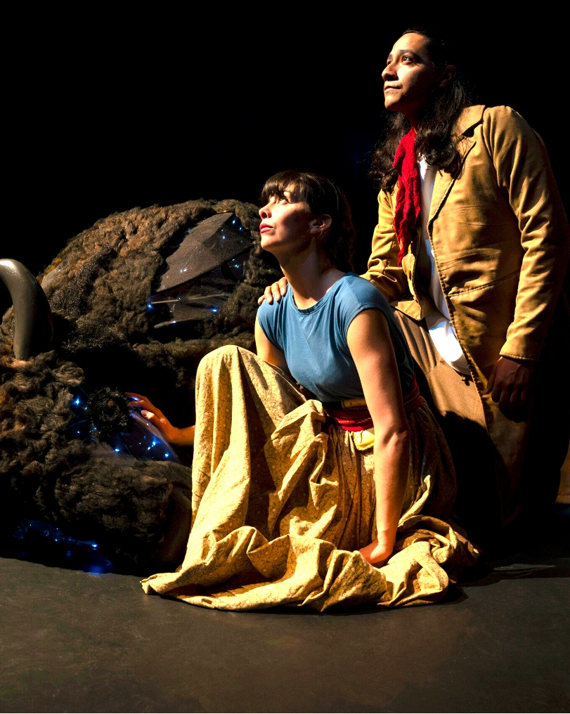 Where Have All the Buffalo Gone?