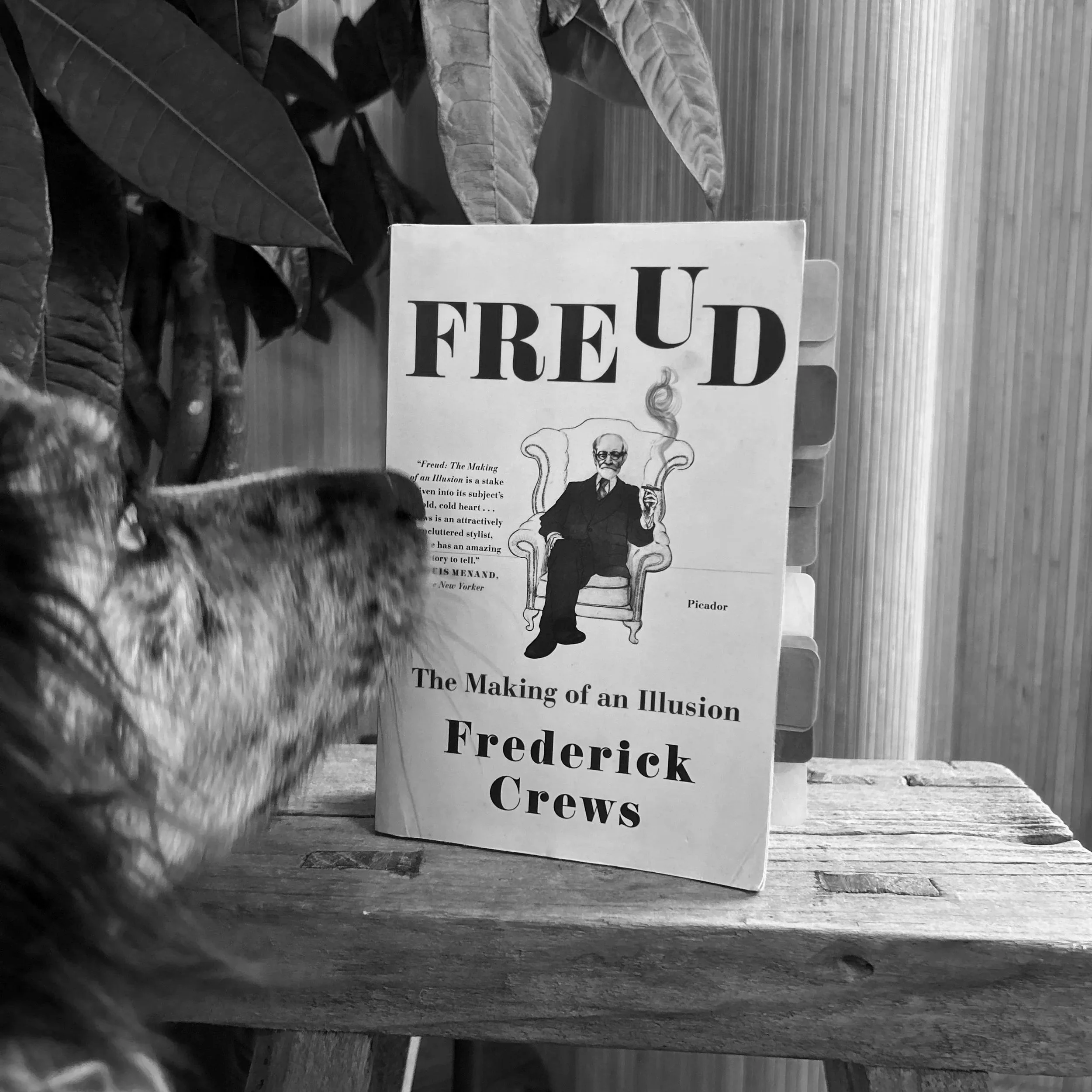 Freud: The Making of an Illusion 