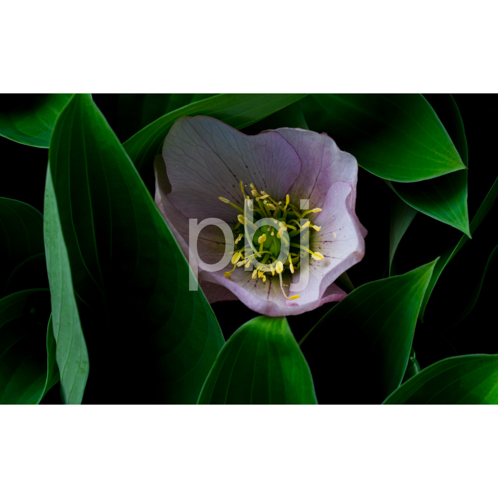 image_original_ae3ecae4765c8a764c4231ecb0c7bb1c.png