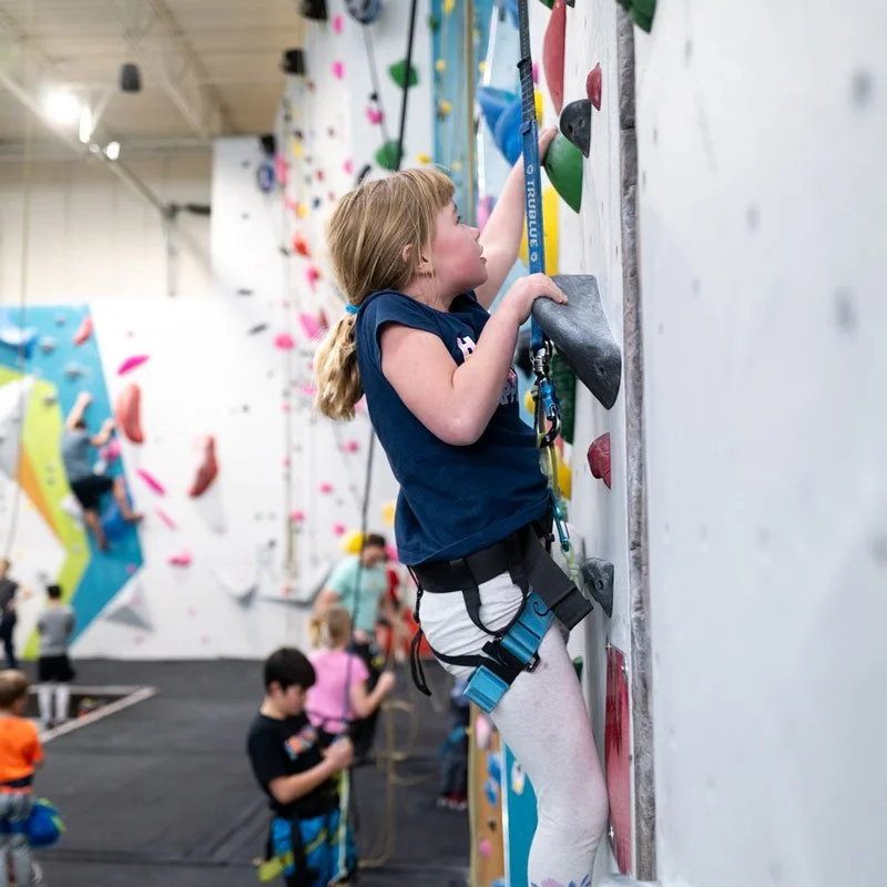 kids climbing at summer camp