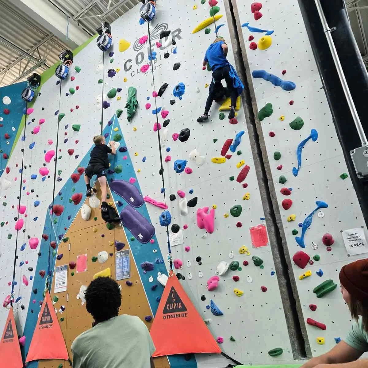 The 4 Types of Indoor Rock Climbing (Beginner Guide)