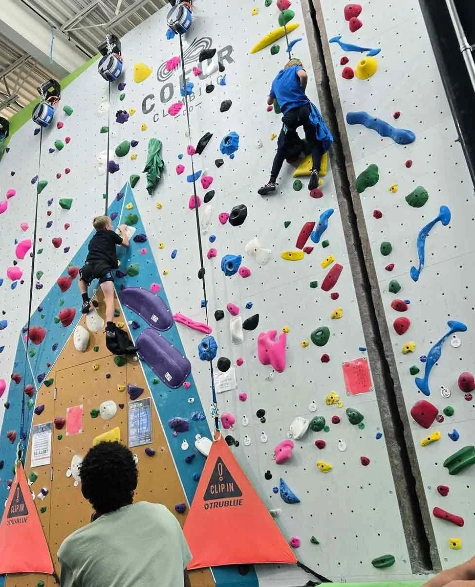 The most common thing we hear from first-time visitors:⁠
⁠
"I didn't know where to start."⁠
⁠
That's exactly why we wrote this.⁠
⁠
Four types of climbing, explained simply &mdash; so your first visit feels less like a guessing game and more