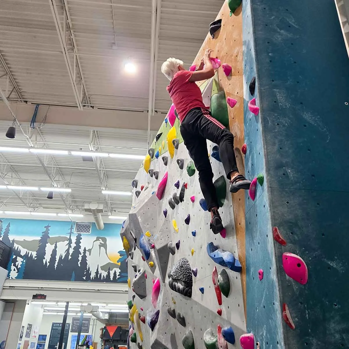 Stronger Than You Think: How Climbing Builds Functional Strength at Any Age