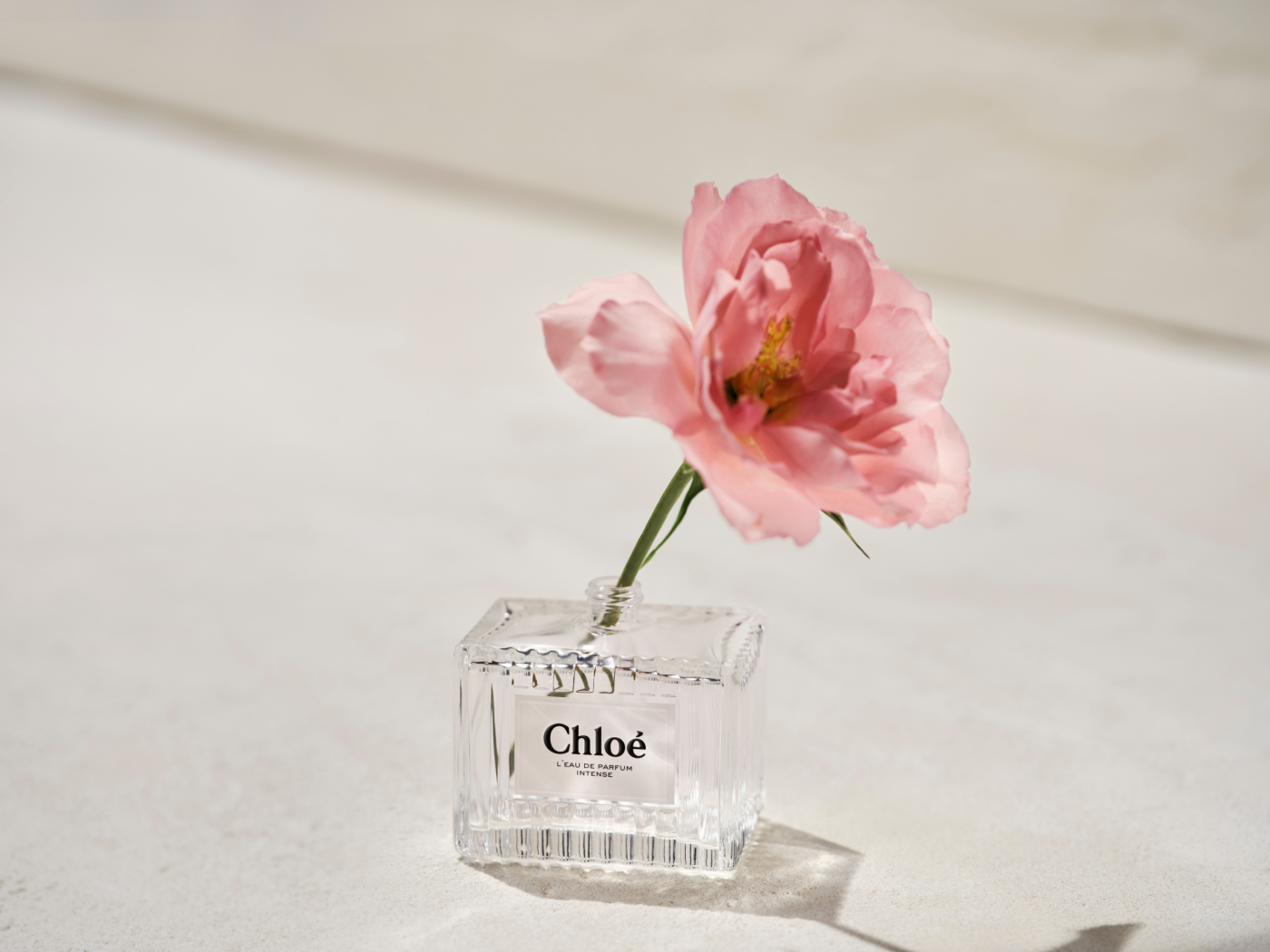 chloe-eau-de-parfum-intense-dczjVCq.png